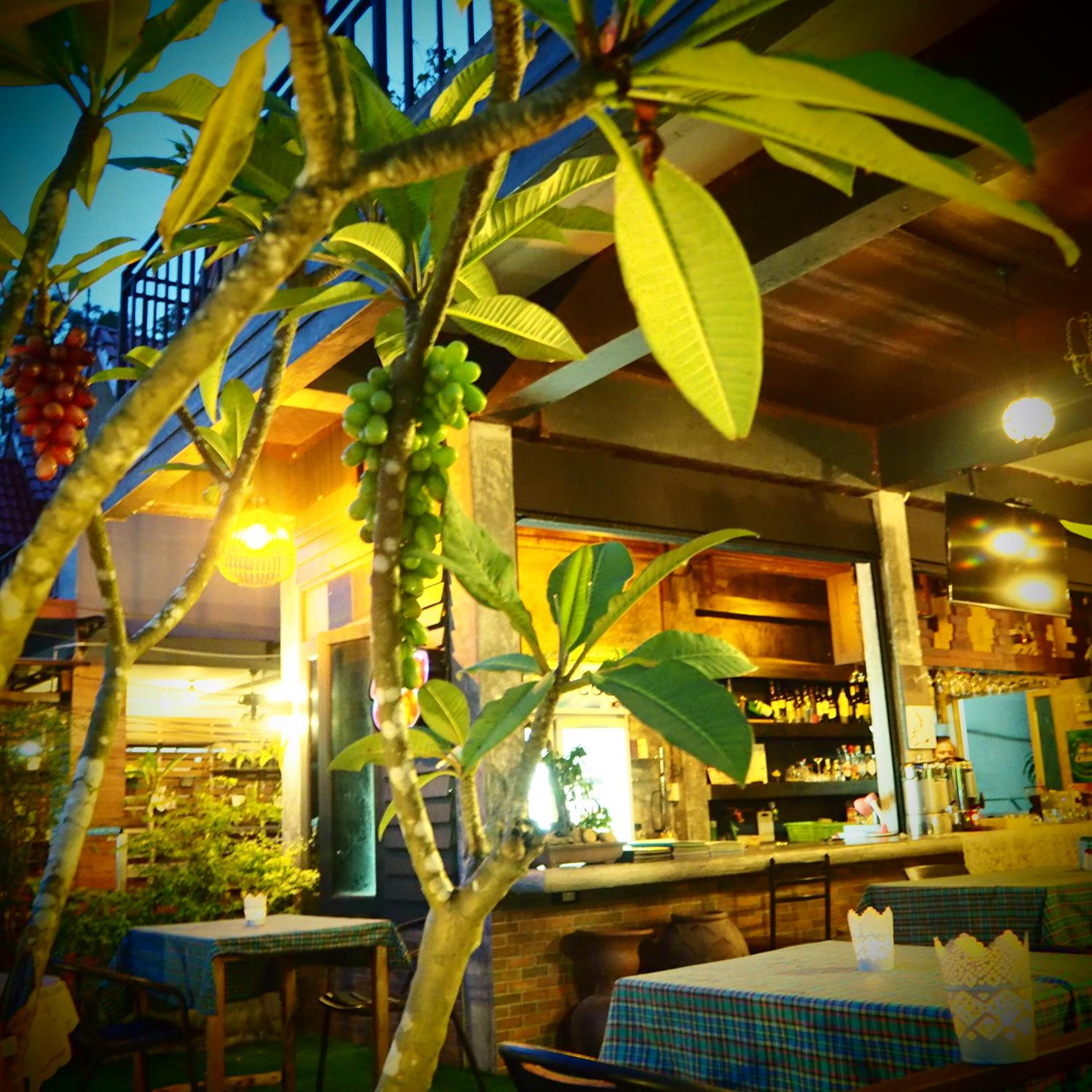Khao Sok Green Valley Resort - SHA Certified