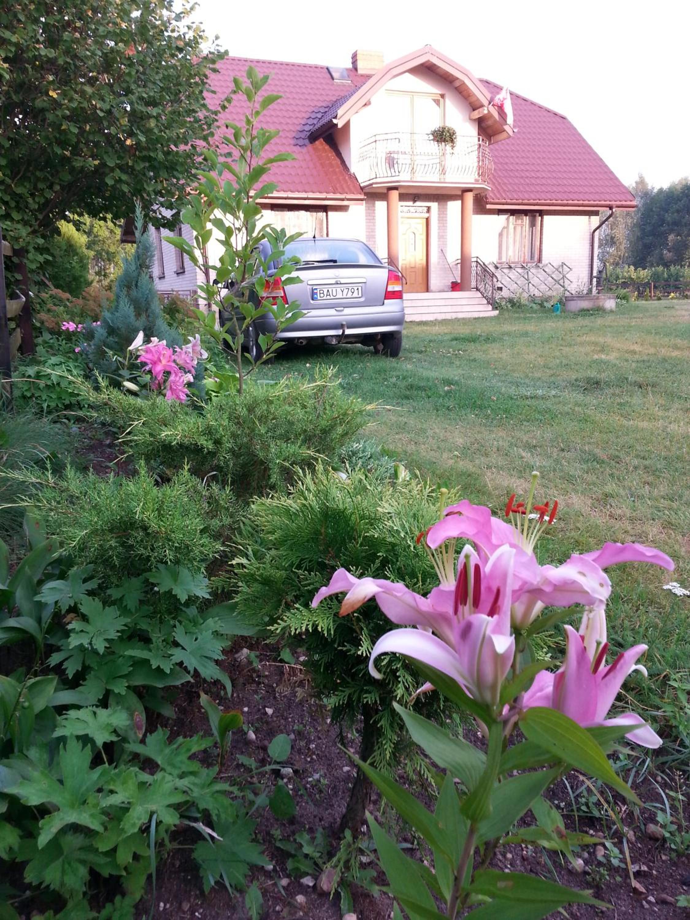 Photo 71