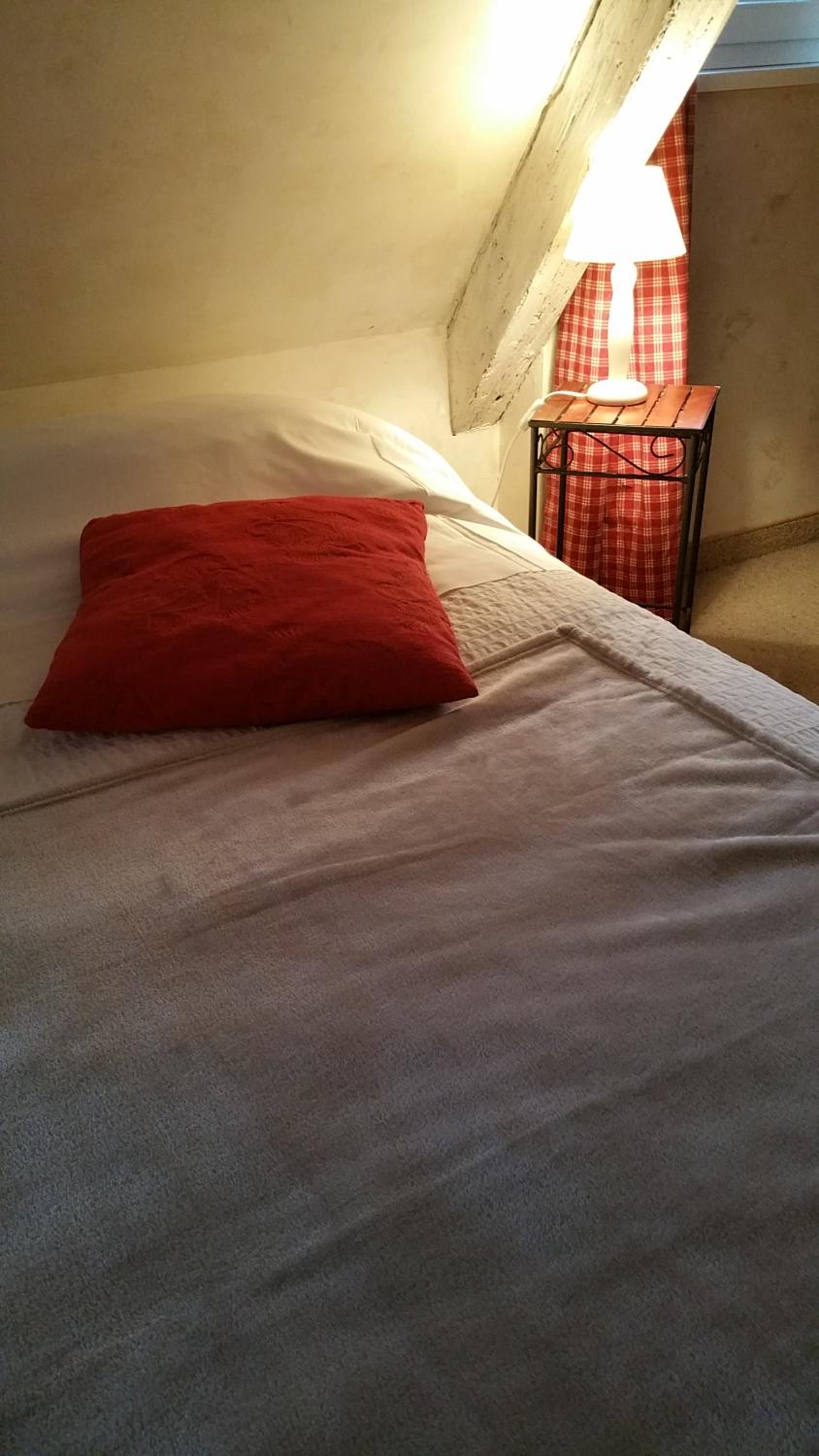 Chambres touristiques La Cour Des Hôtes, photo 20