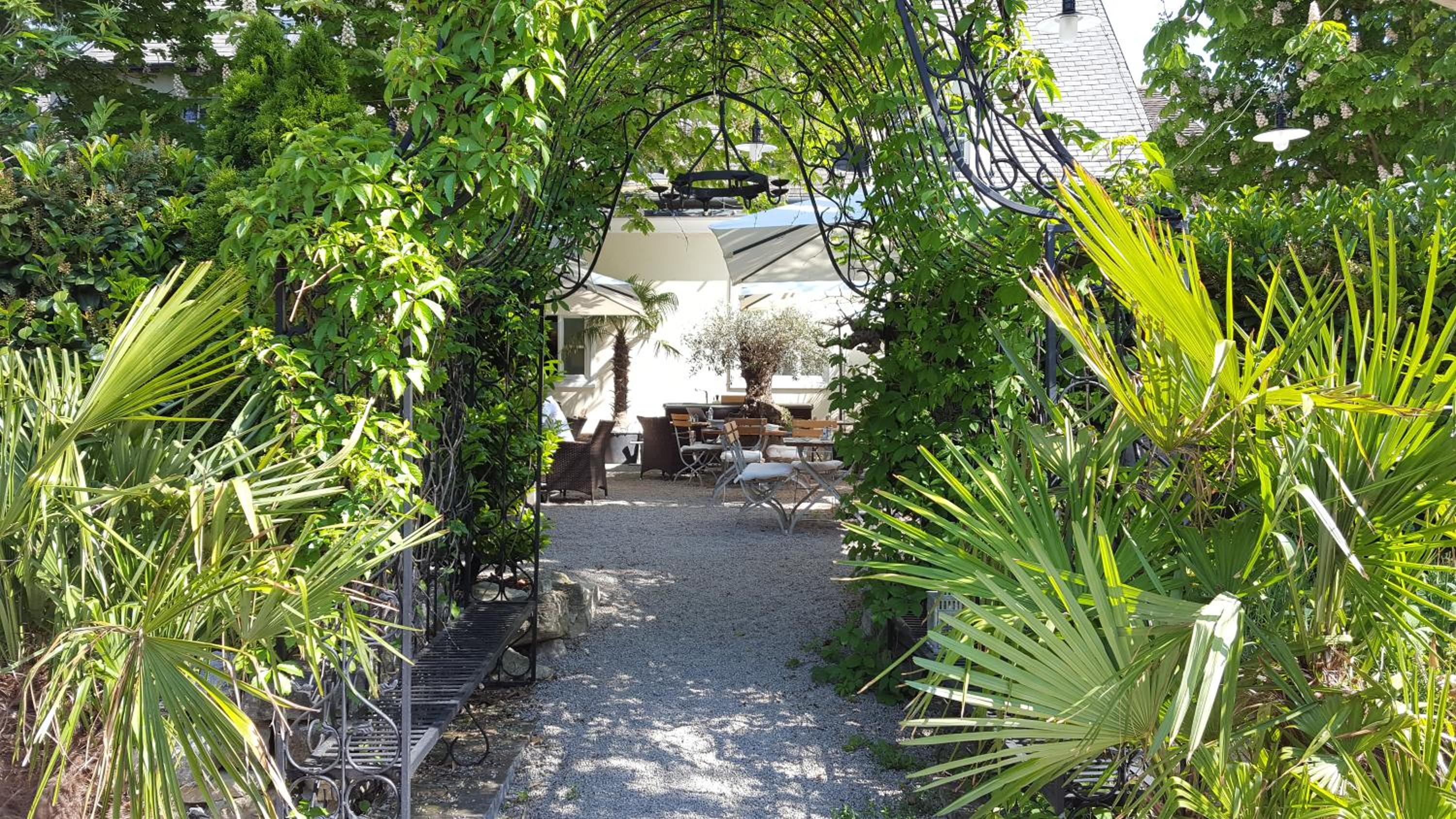 Wildenauer's