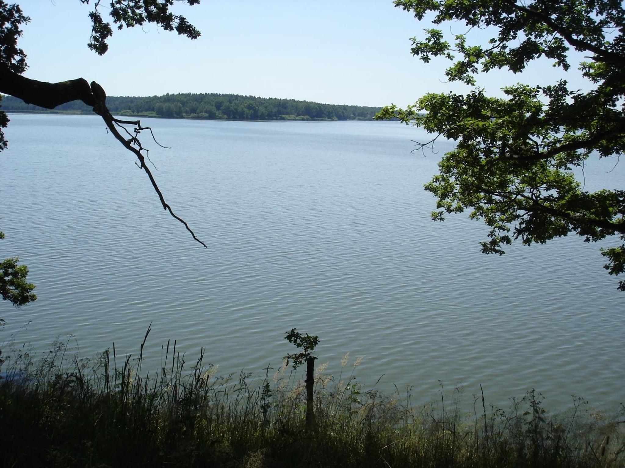 Photo 40
