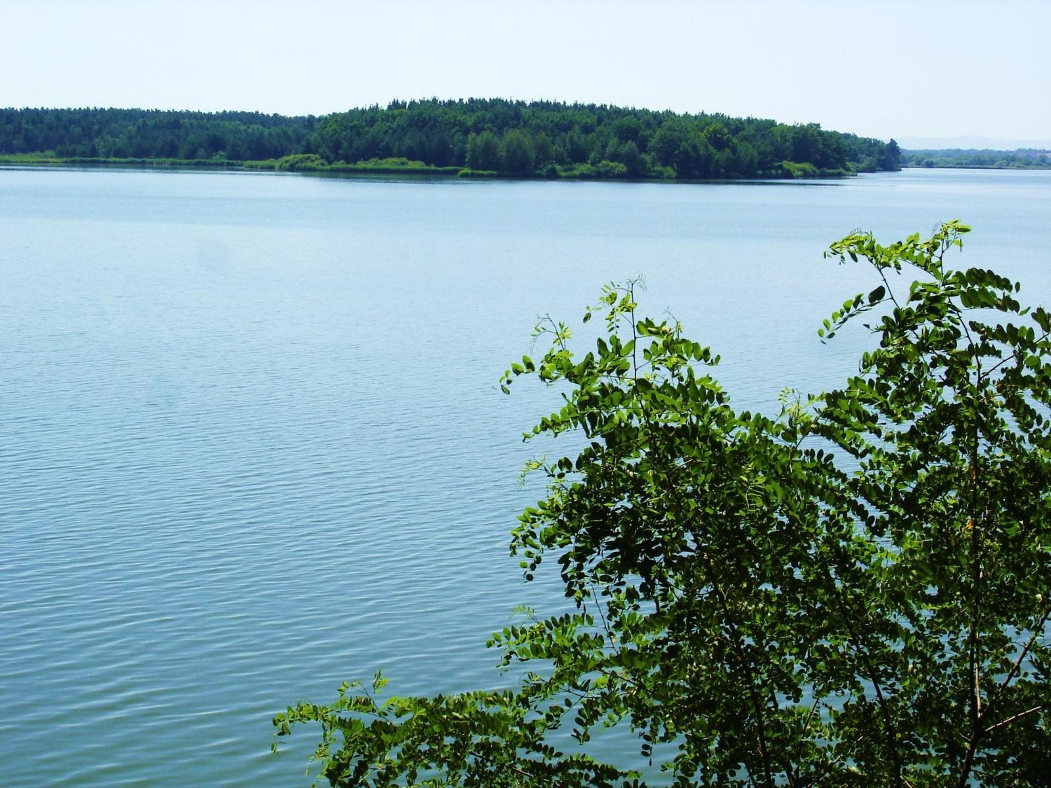 Photo 41