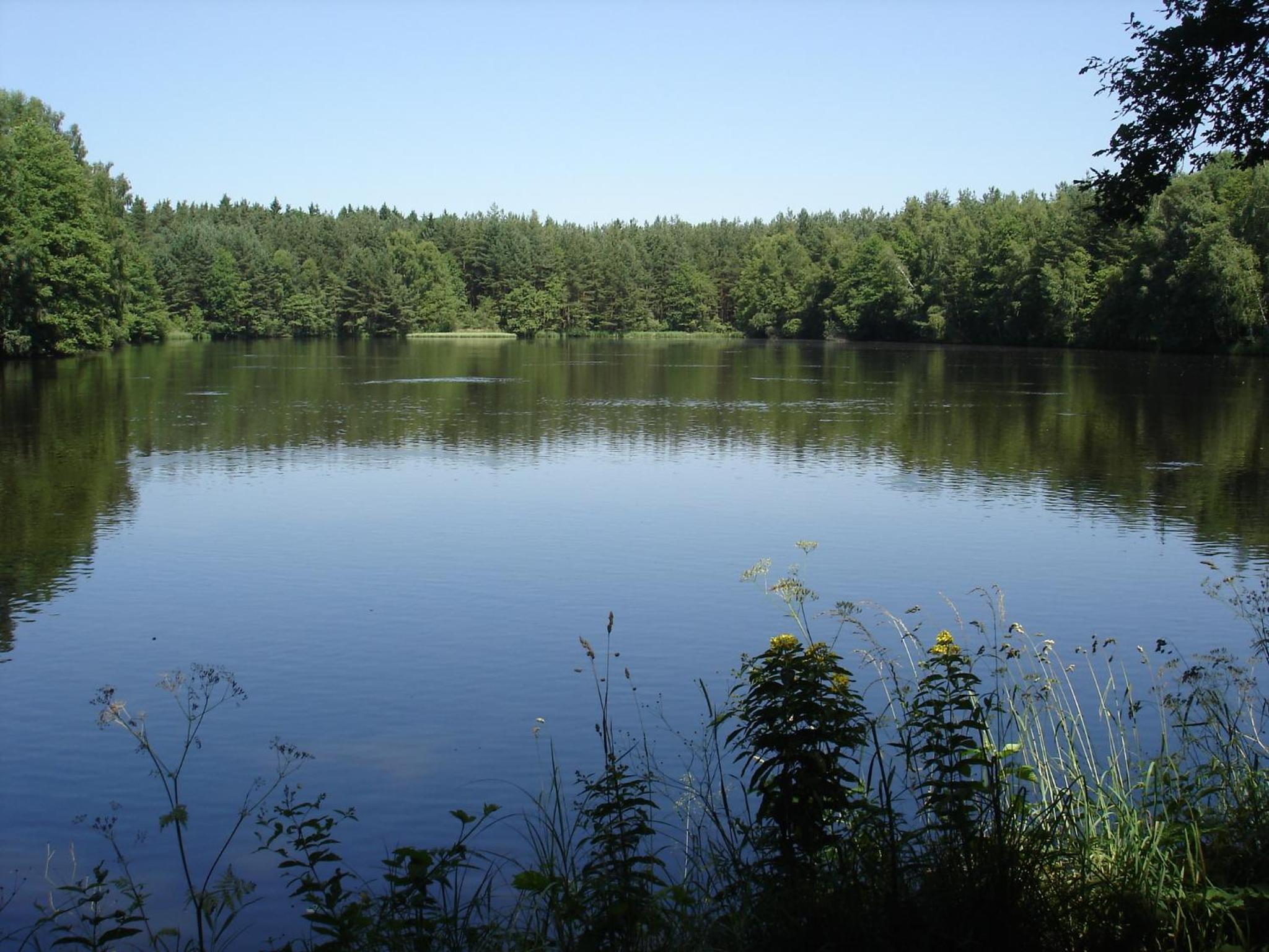 Photo 42