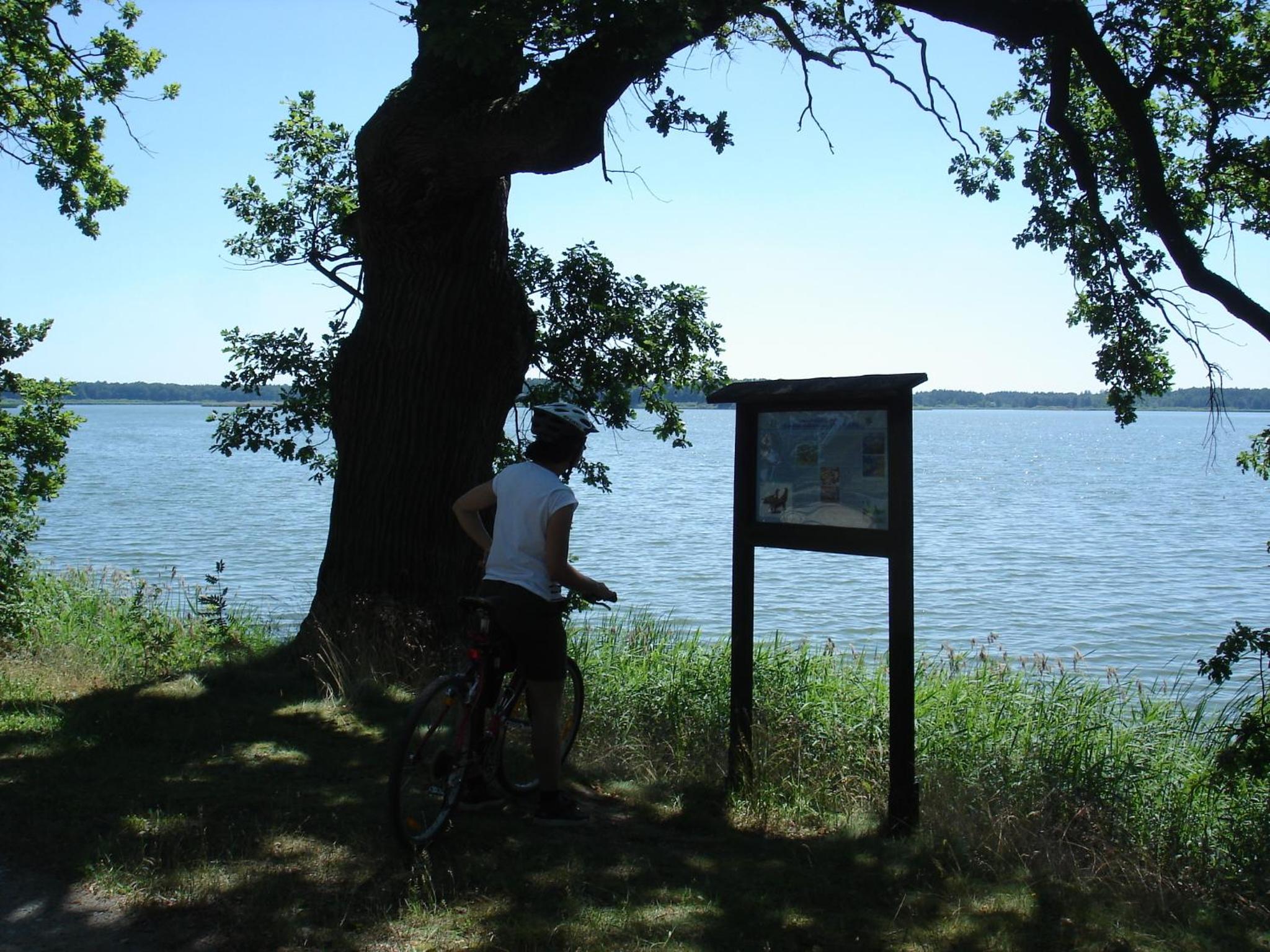 Photo 45
