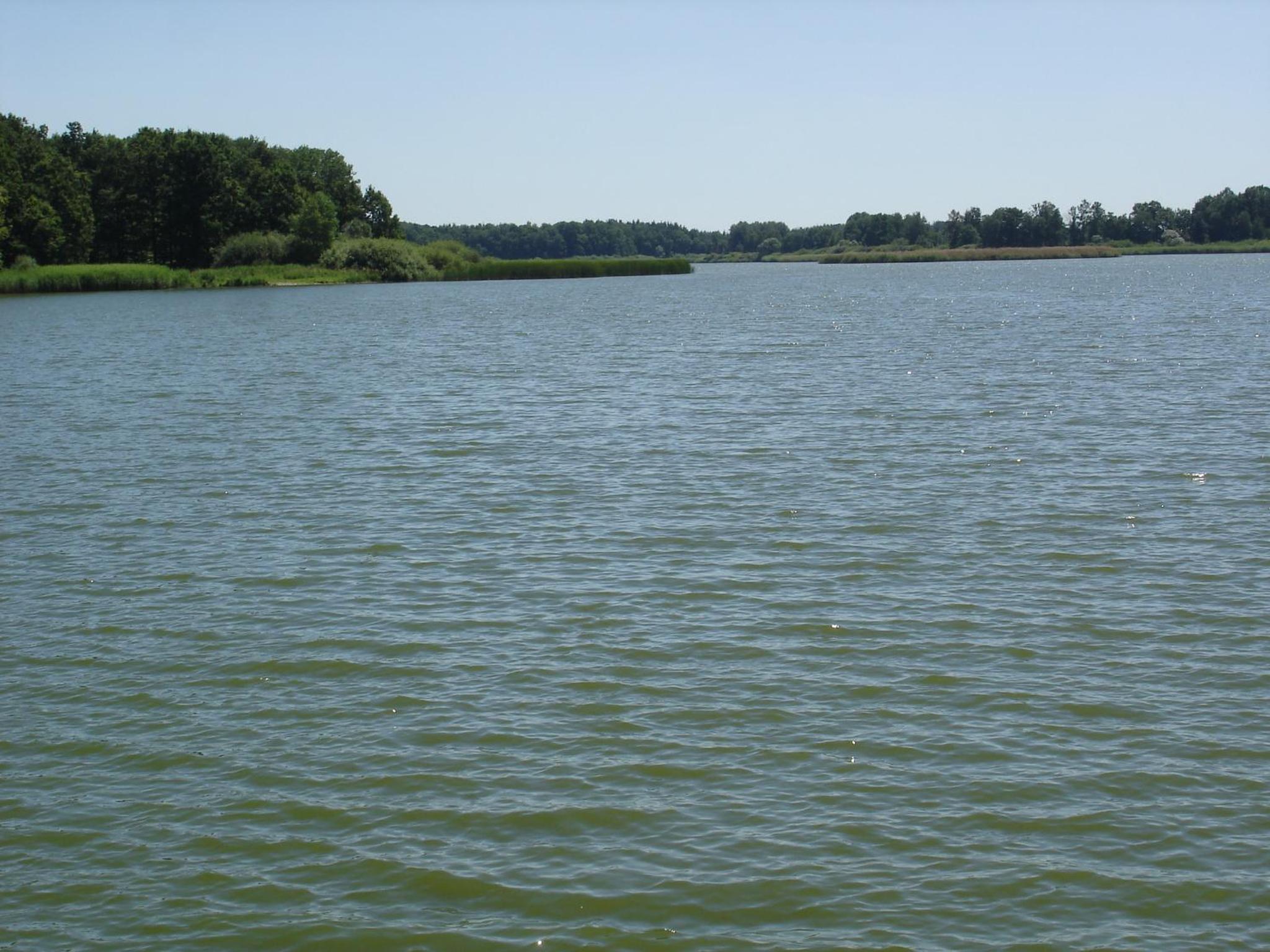 Photo 46