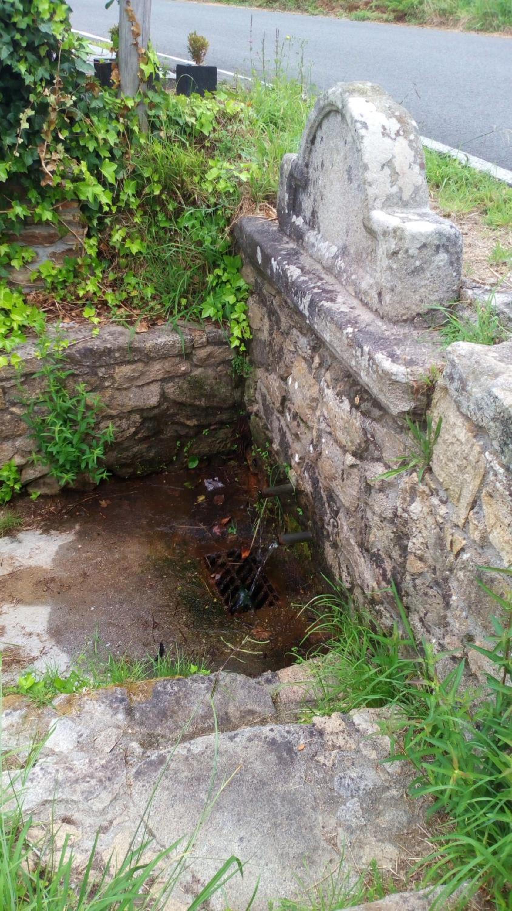 Photo 31