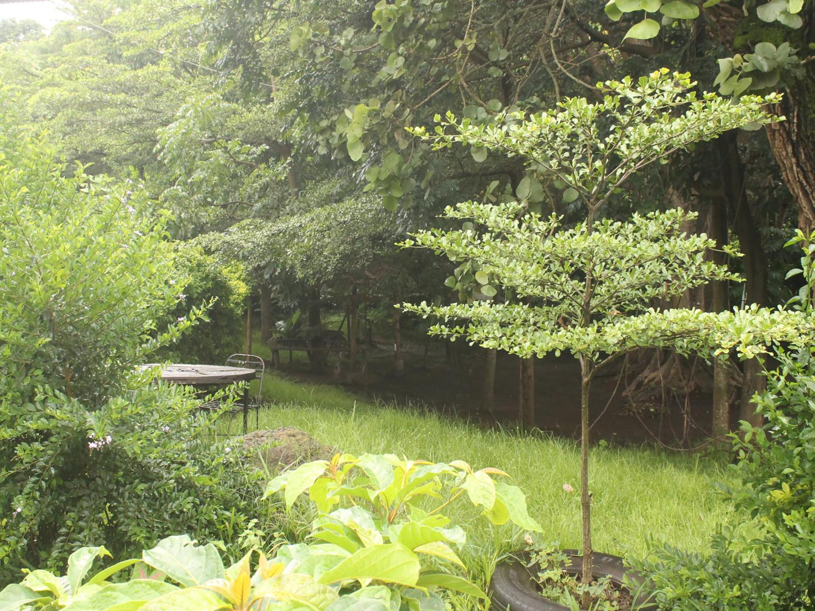 Photo 15