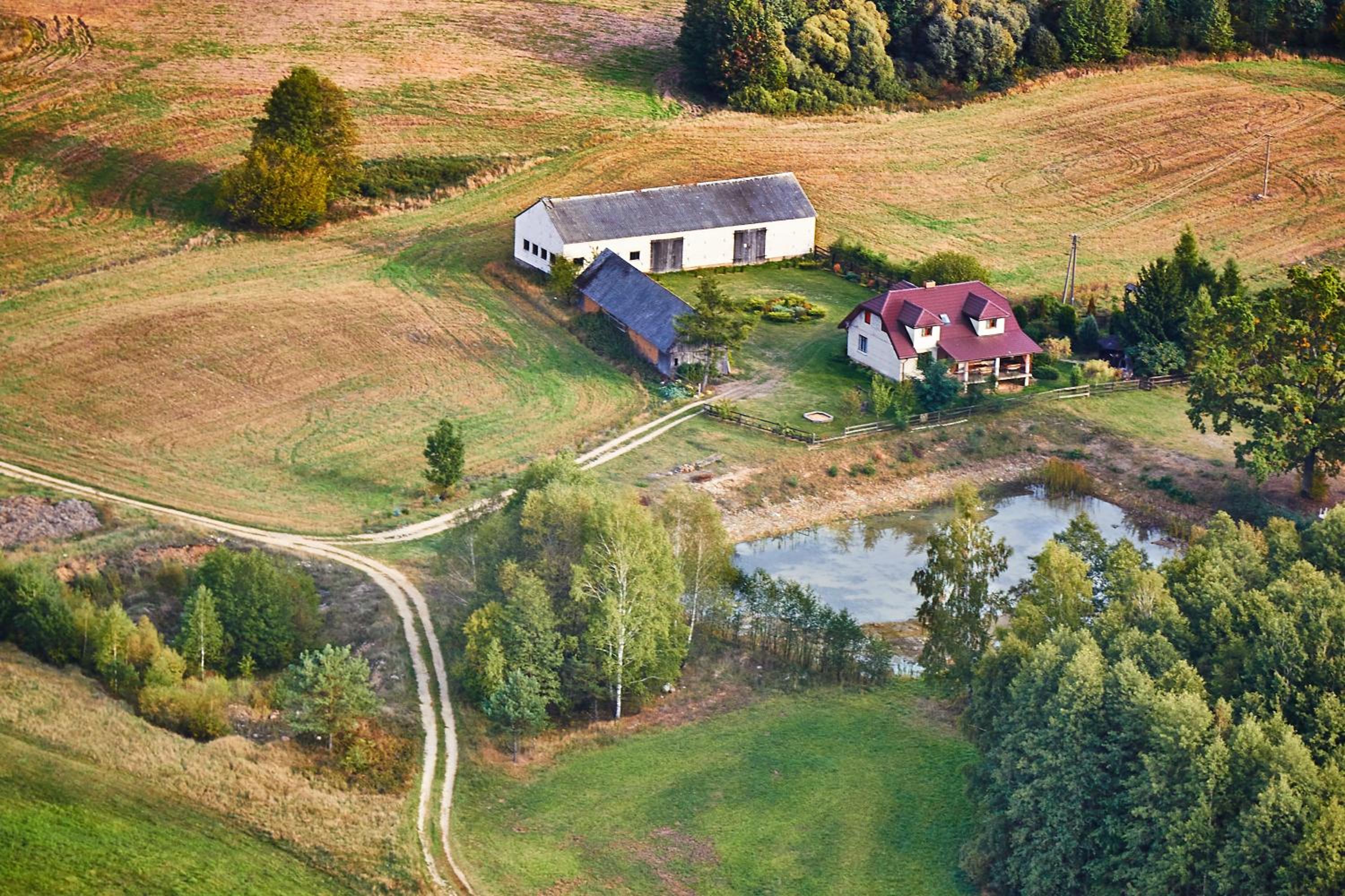 Gospodarstwo agroturystyczne Biebrzanska Goscina view 3
