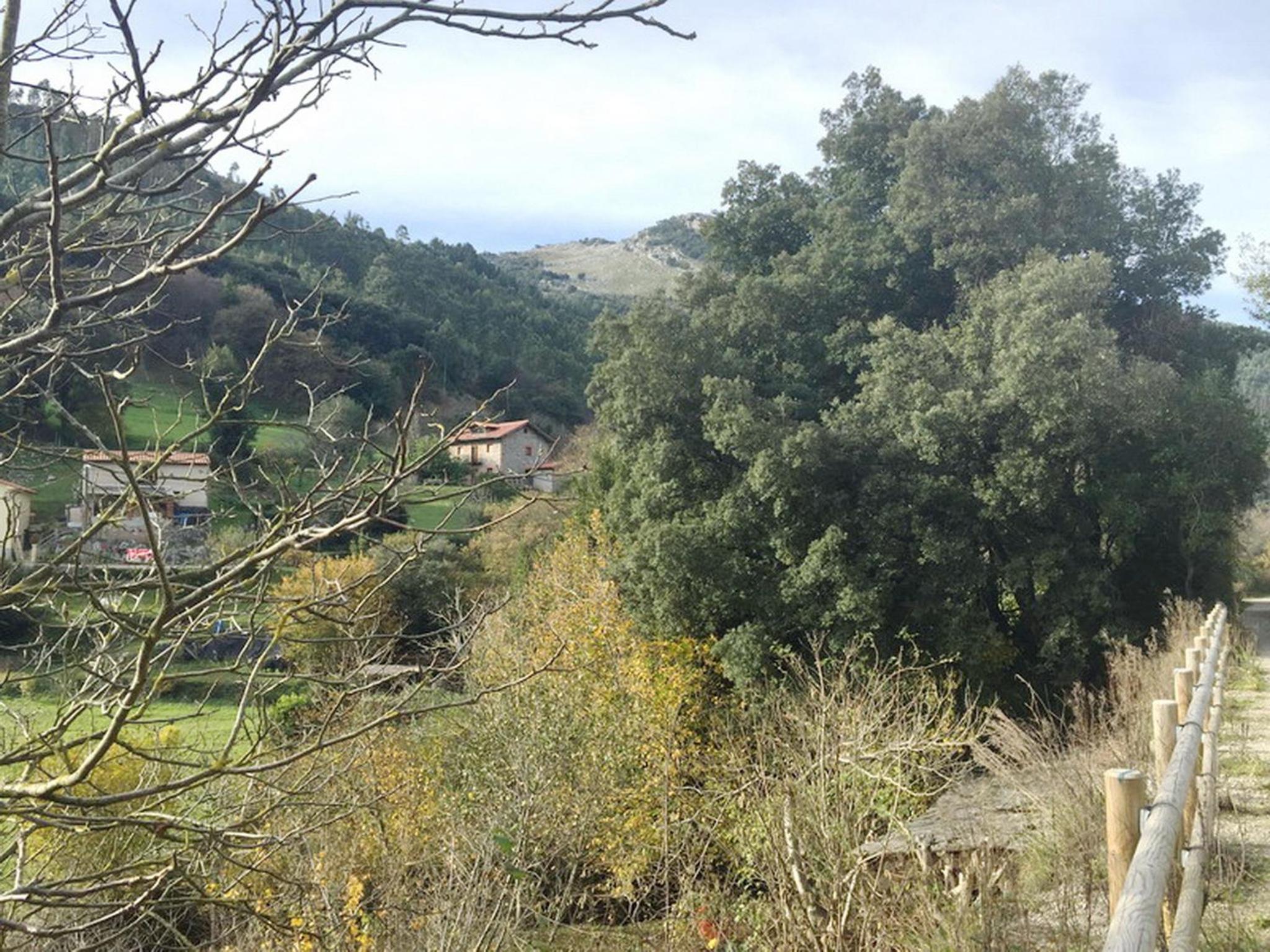 Los Acebos de Peña Cabarga, Cúpula experiencias