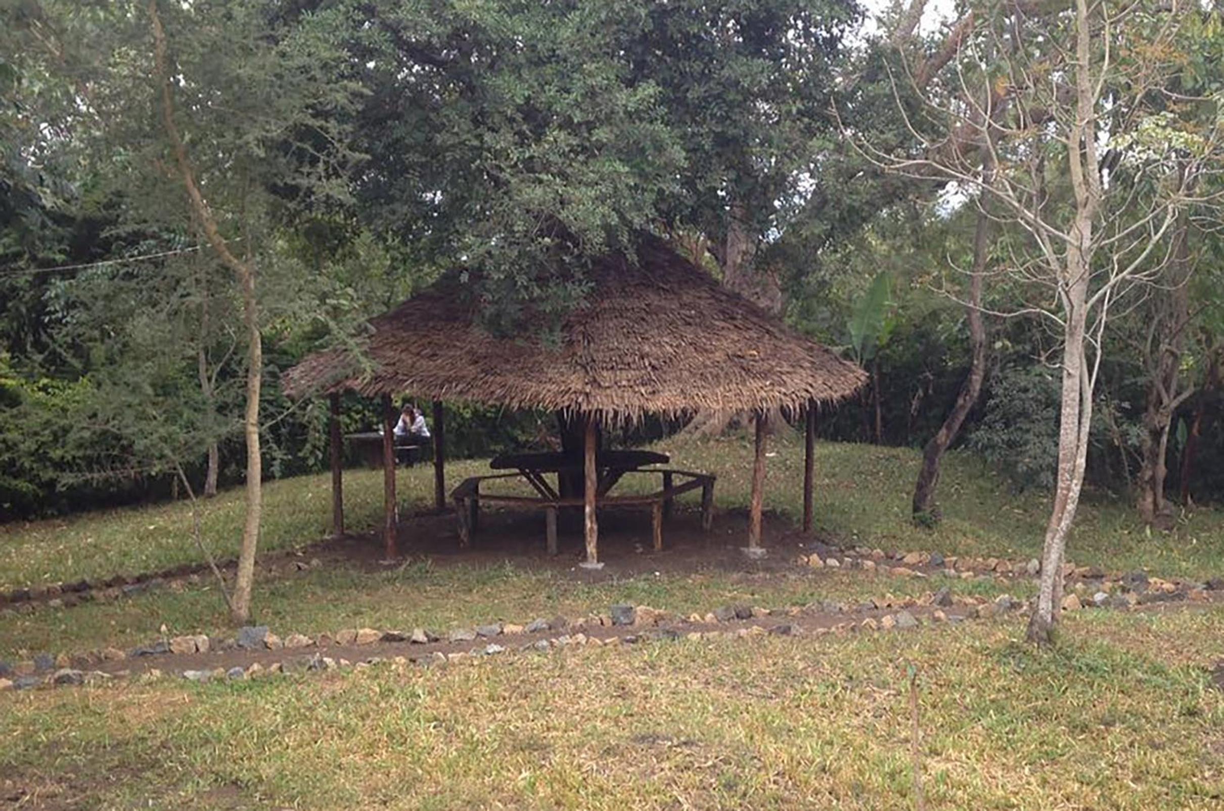 Photo 14