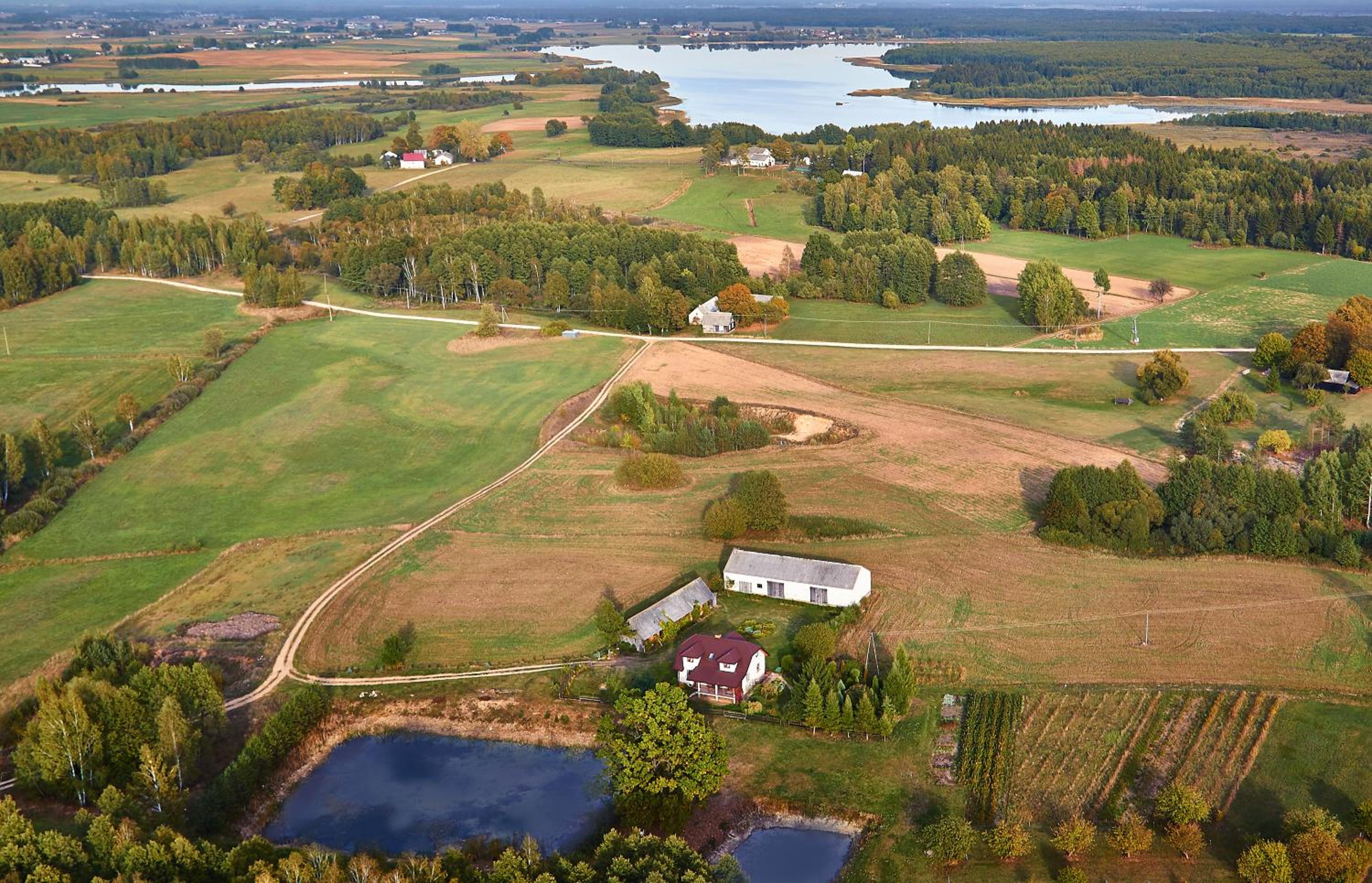 Gospodarstwo agroturystyczne Biebrzanska Goscina view 4