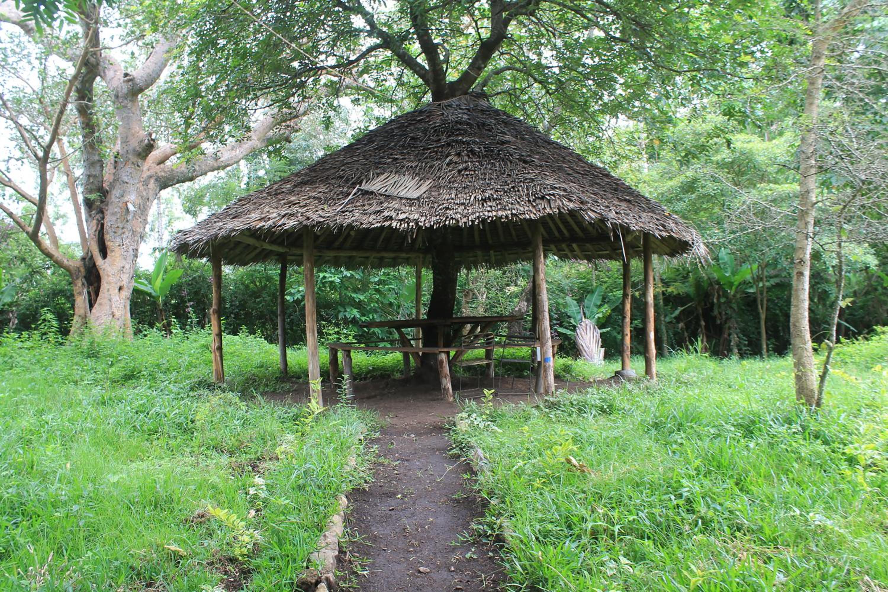 Photo 12
