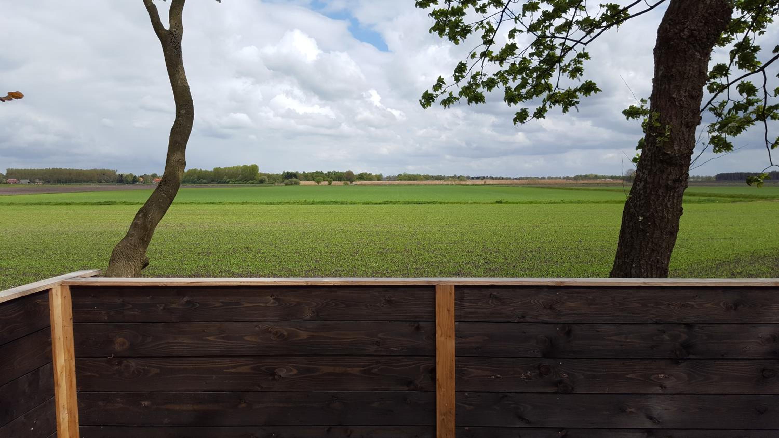 Byonz - Property Image 28