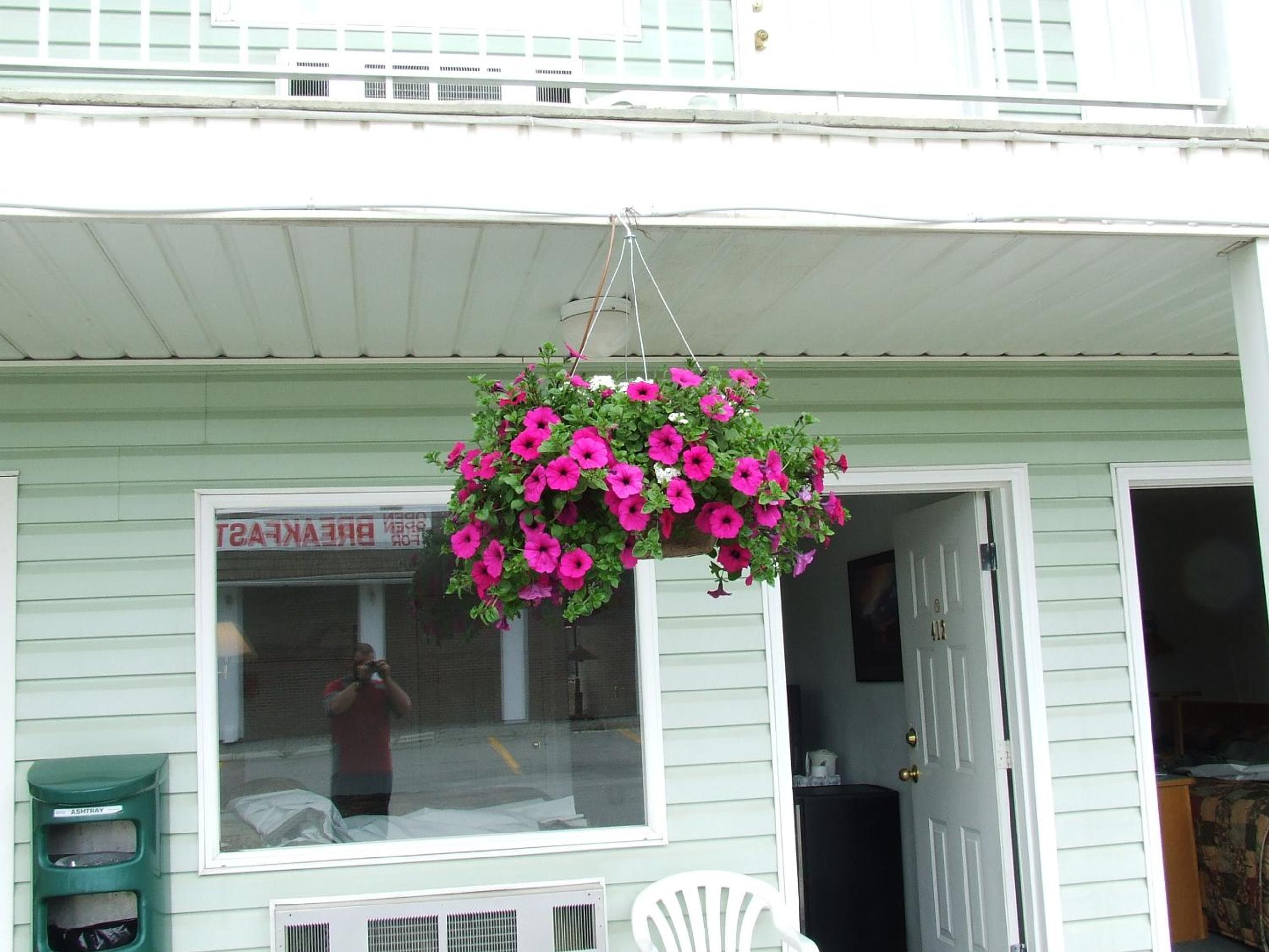 Golden Vacations - Ponderosa Motor Inn - Property Image 7