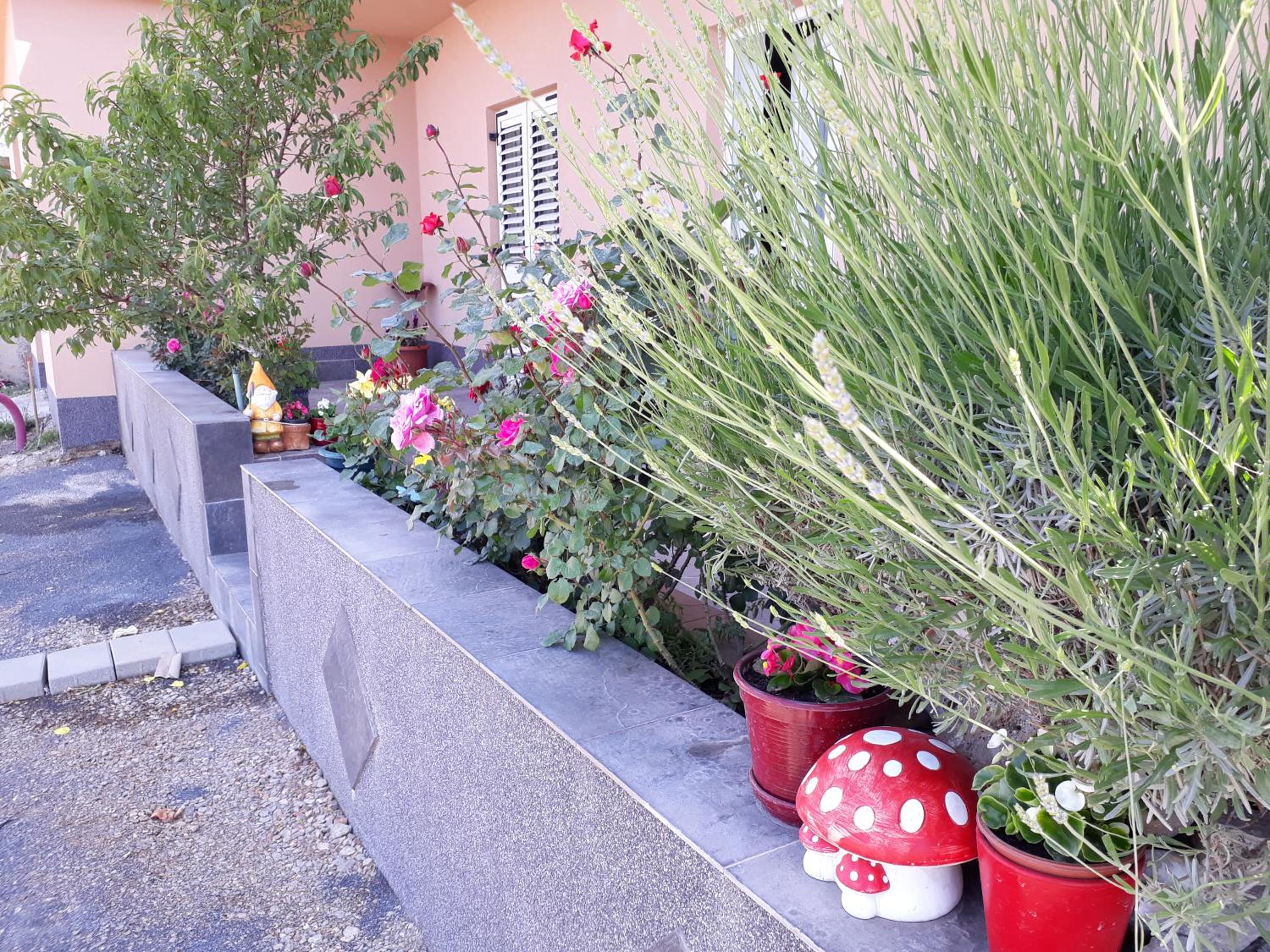Photo 36