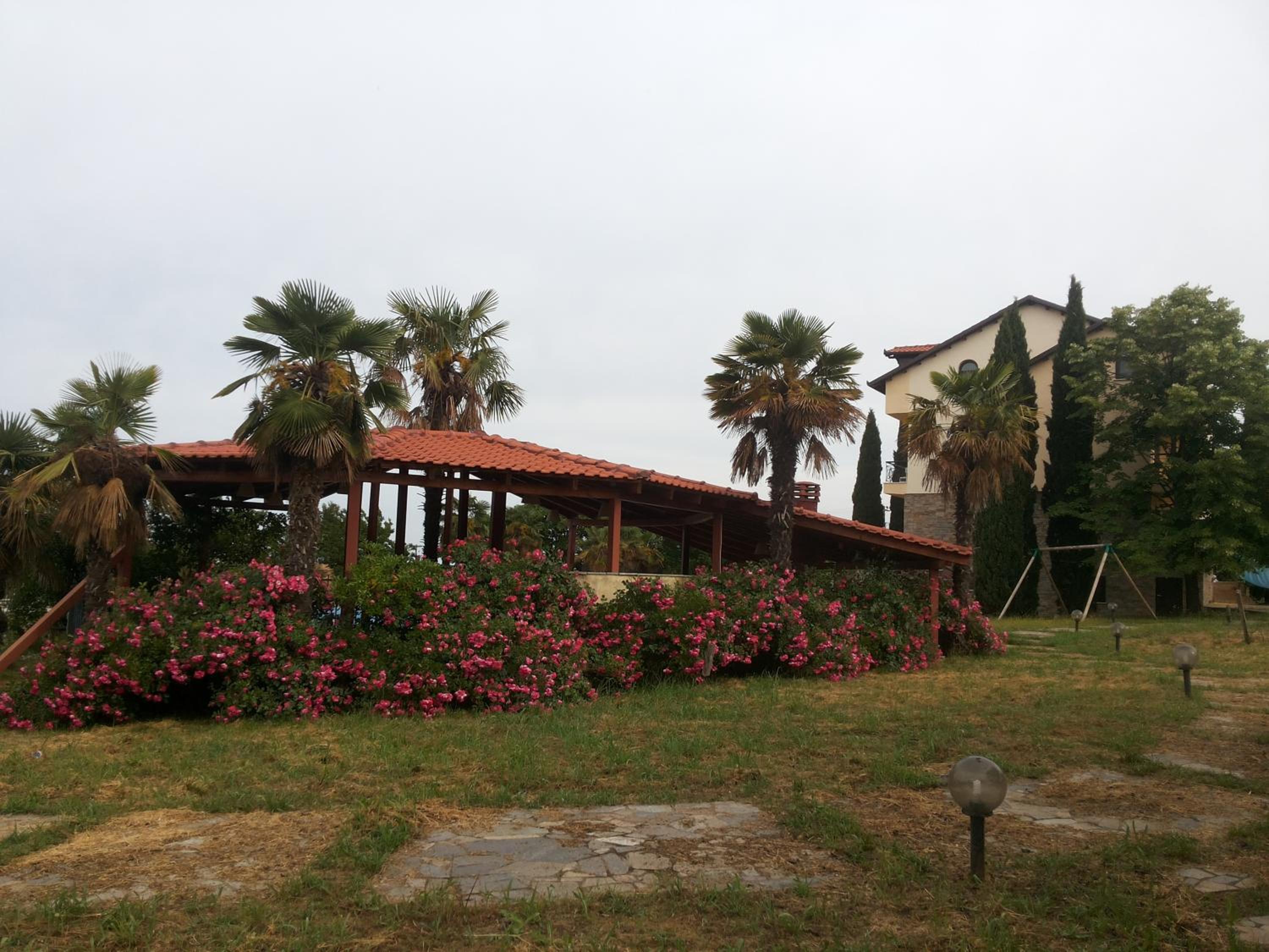 Photo 199