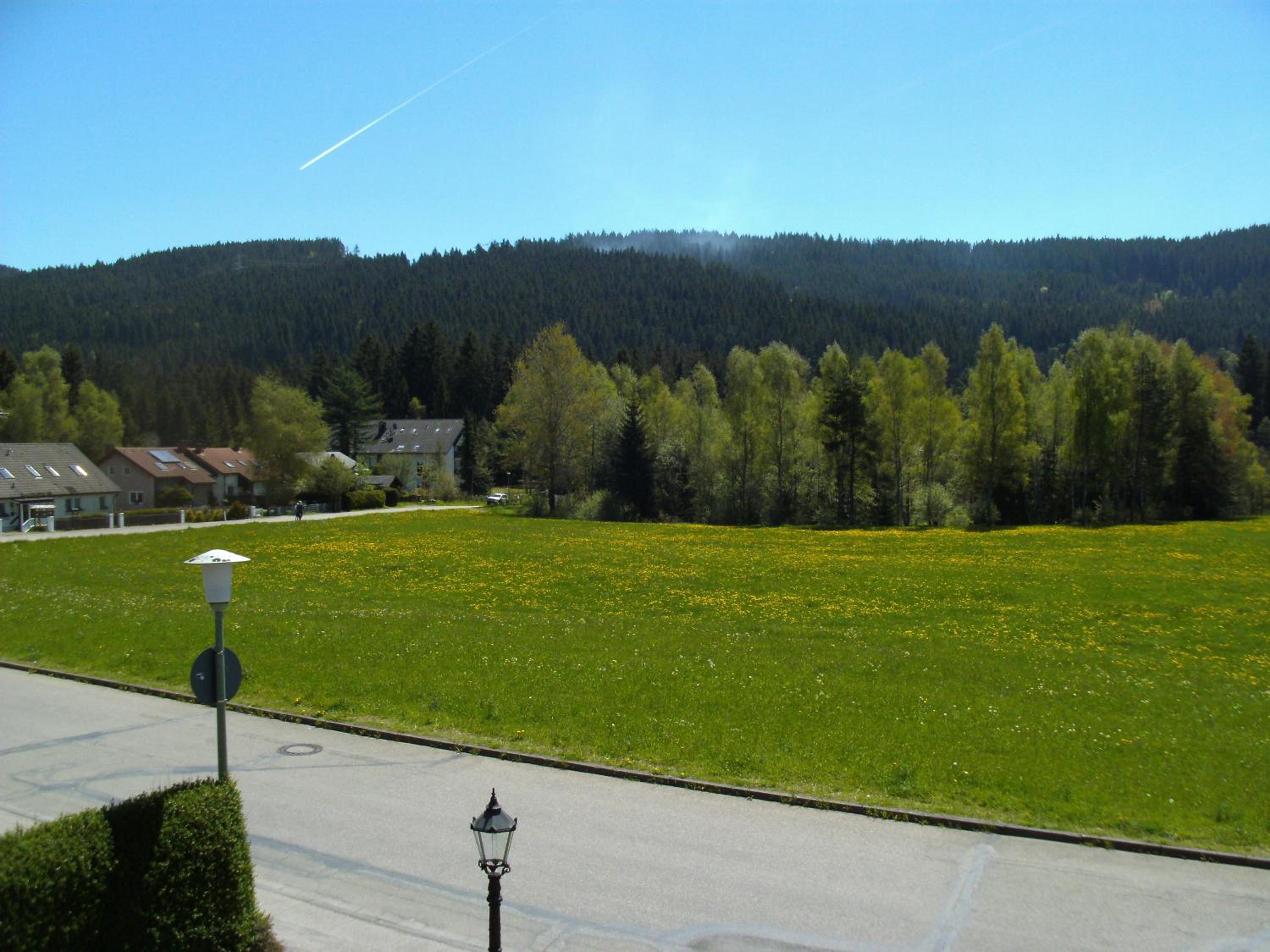 Hotel Rheingold Garni