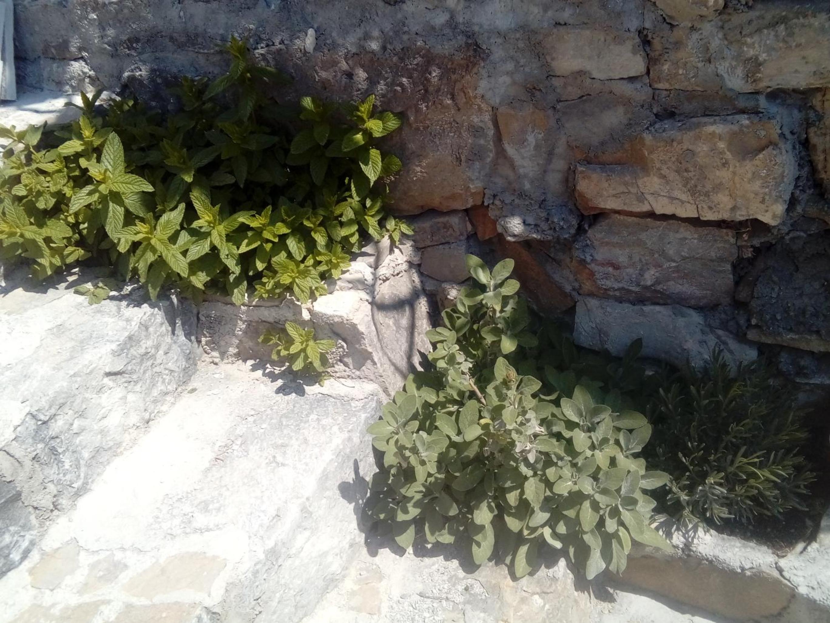 Photo 32