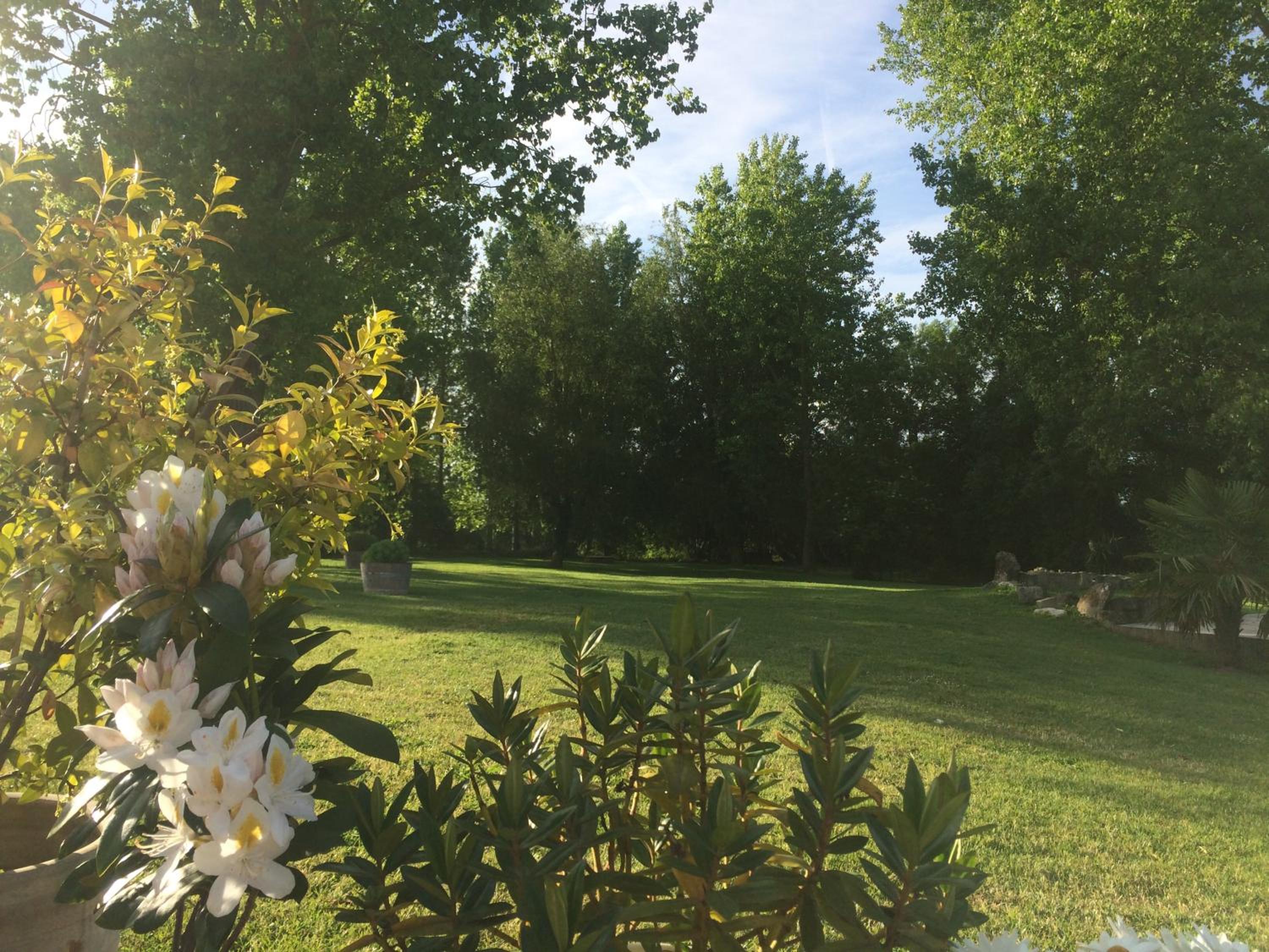 Photo 41