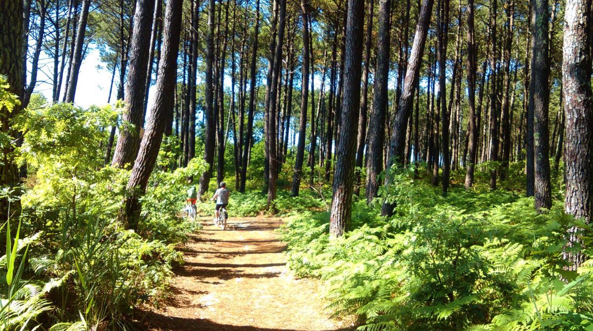 Mobilandes Sanguinet