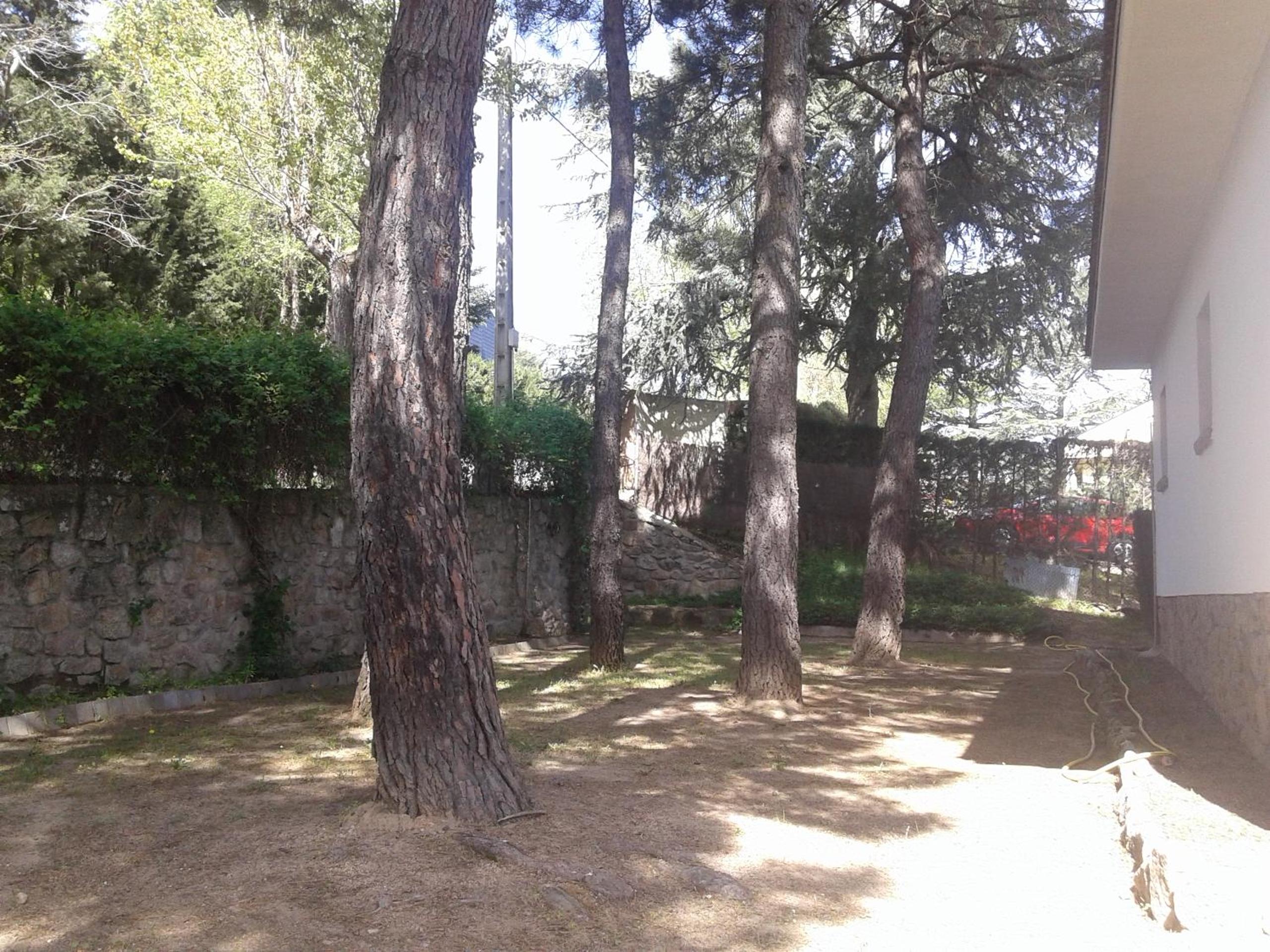 Photo 38