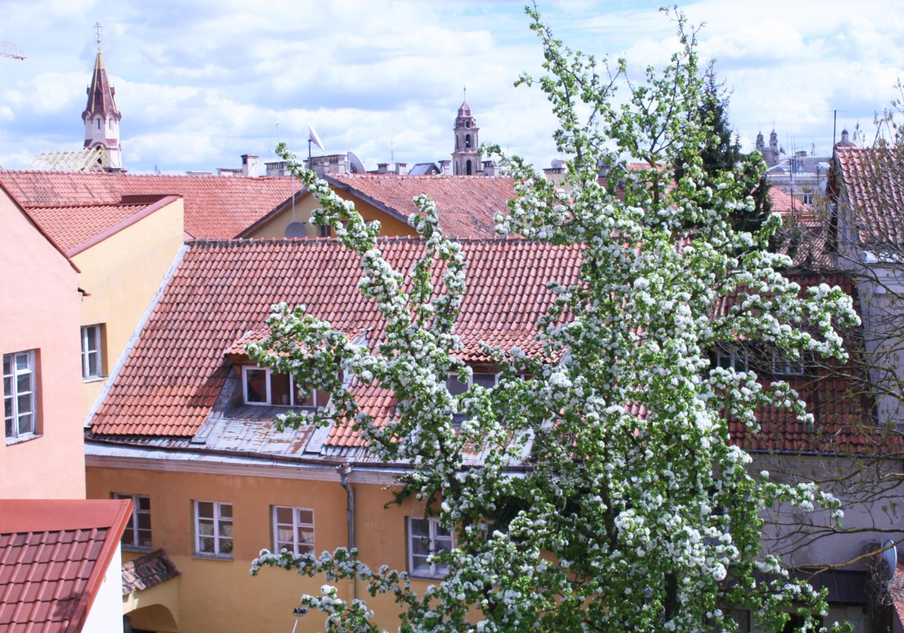 Old Town Apartment Antokolskio