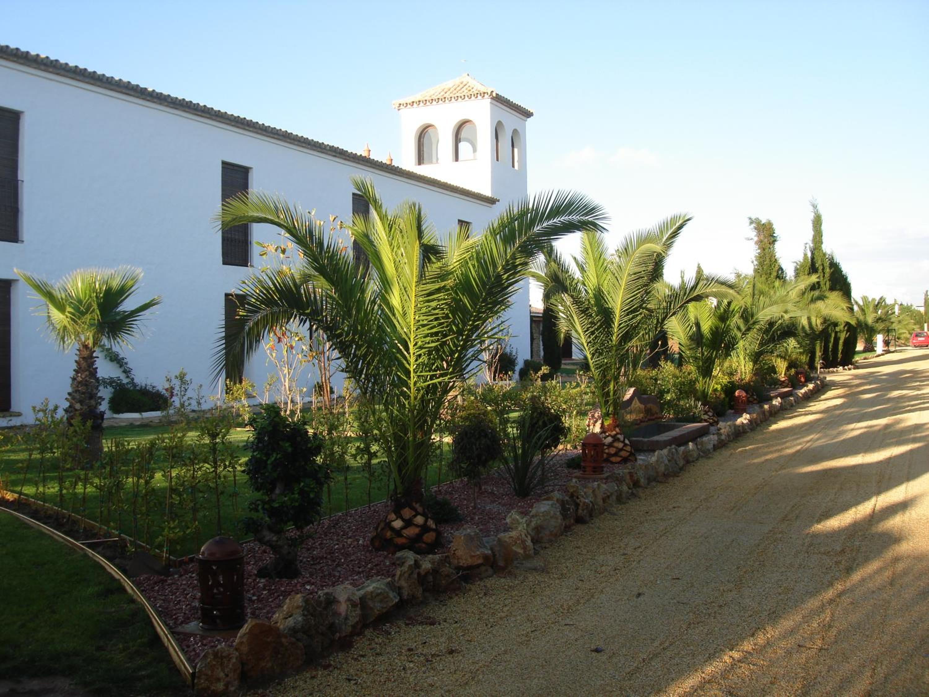 Hacienda Roche Viejo