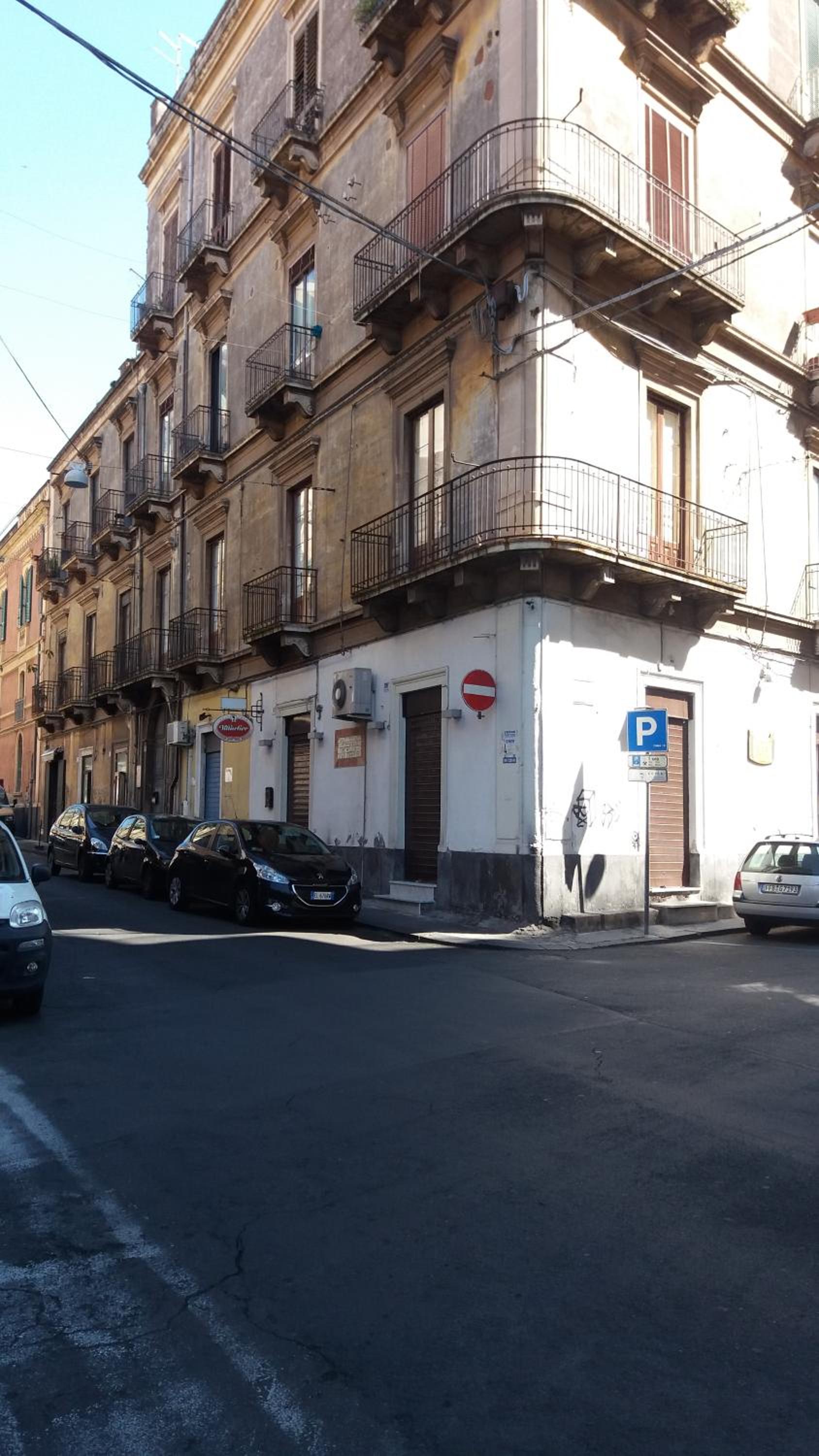 I Mici di Emy photo 1
