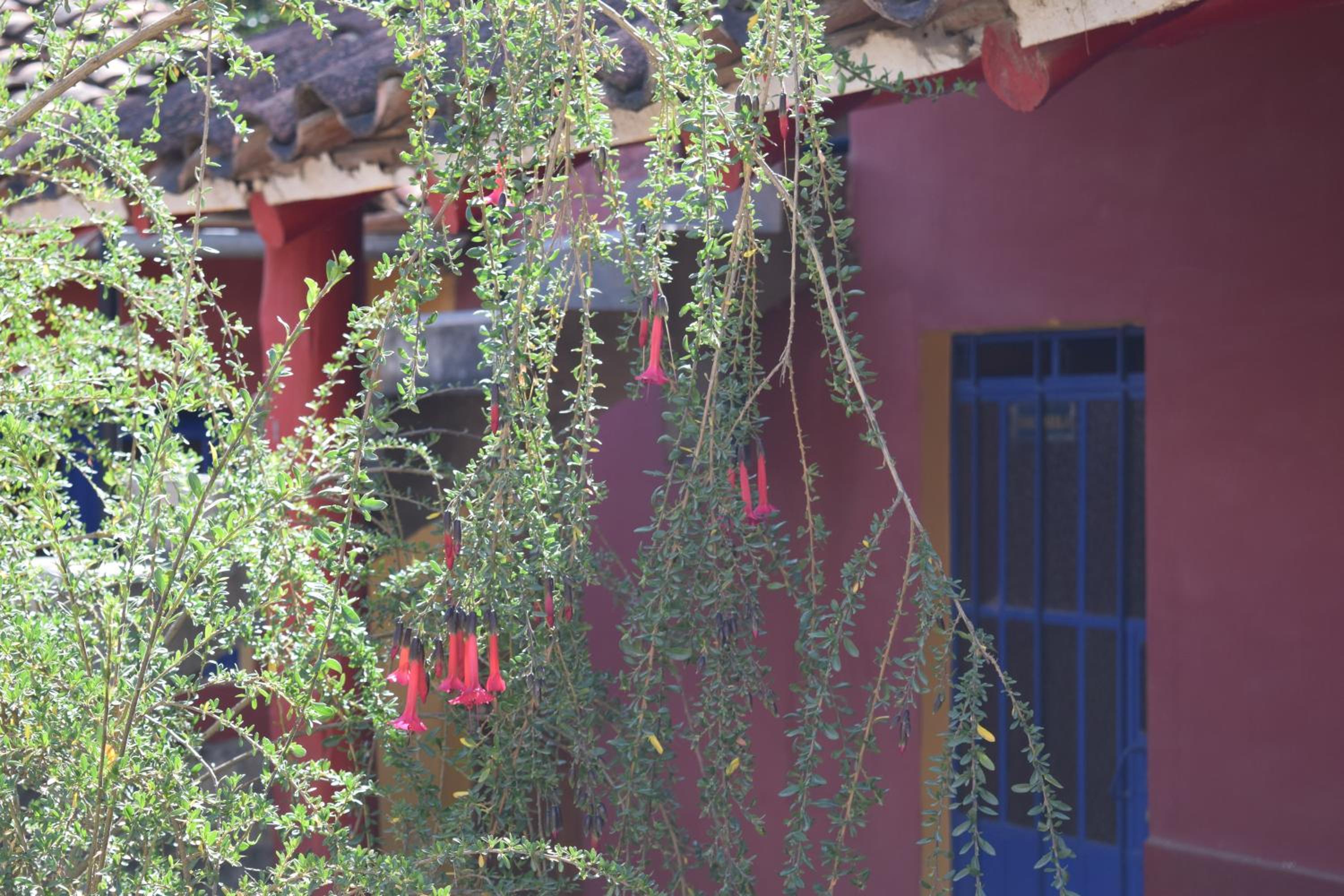 La Casita de mi Abuela