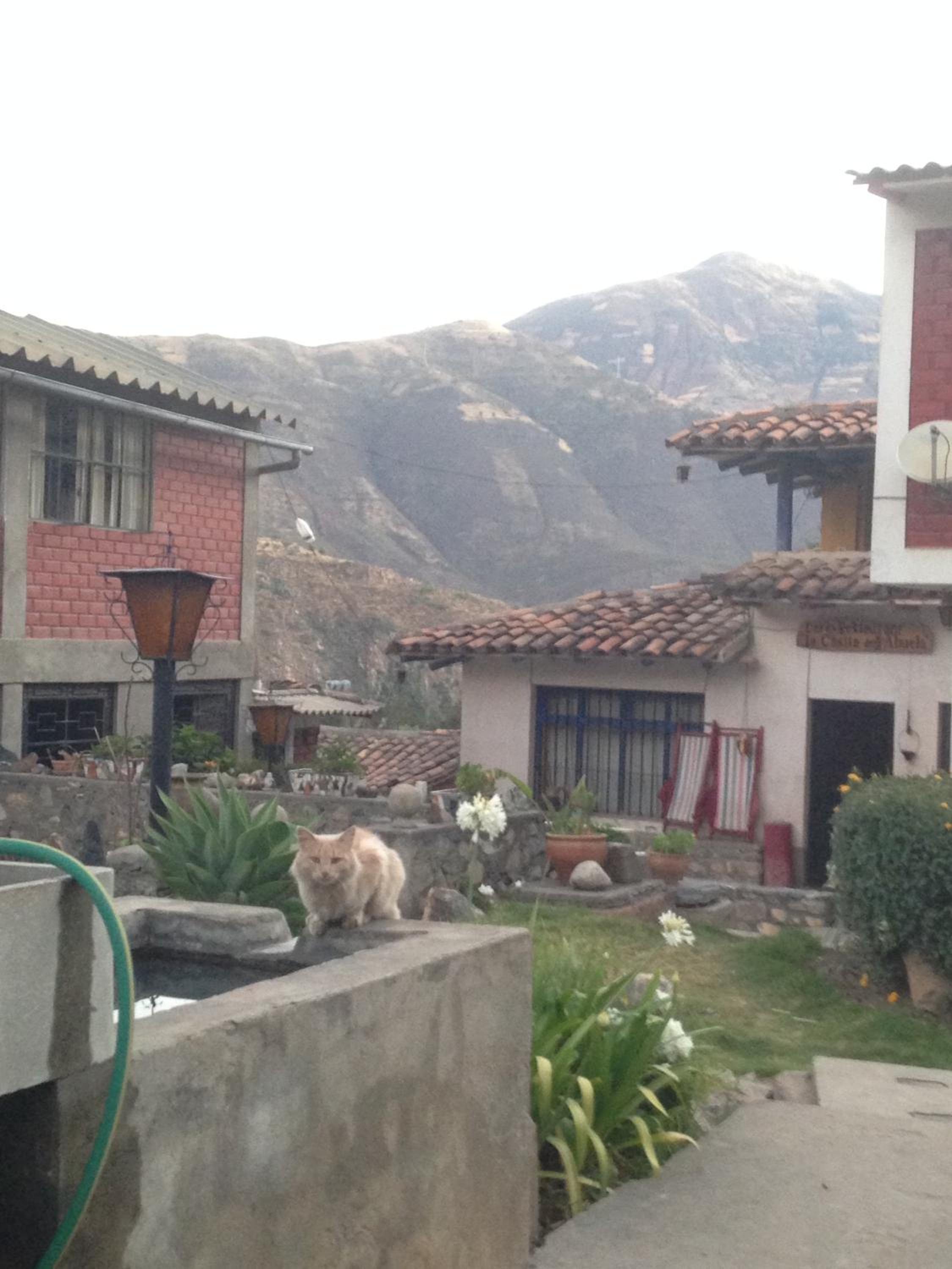 La Casita de mi Abuela