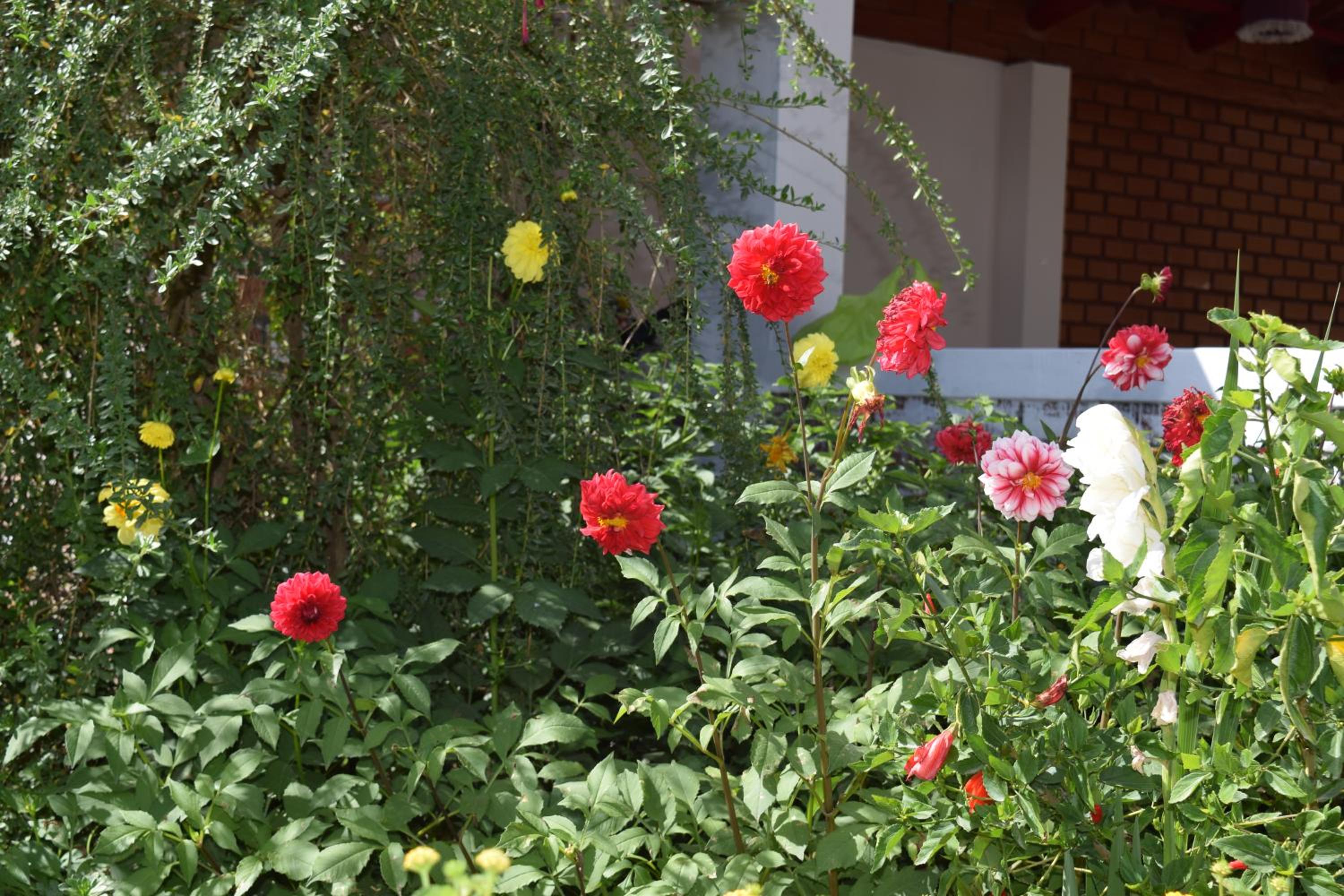 La Casita de mi Abuela