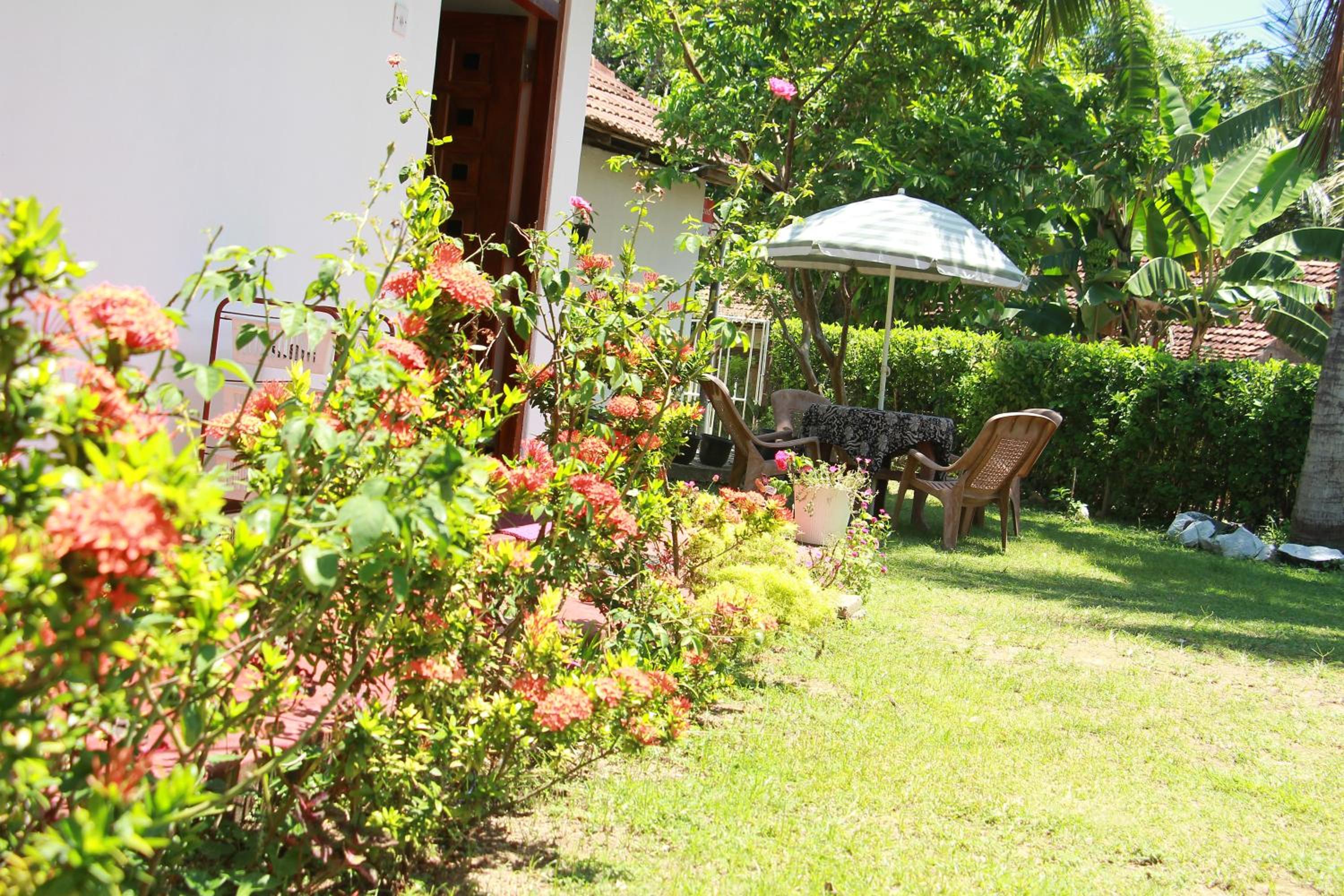 Photo 44