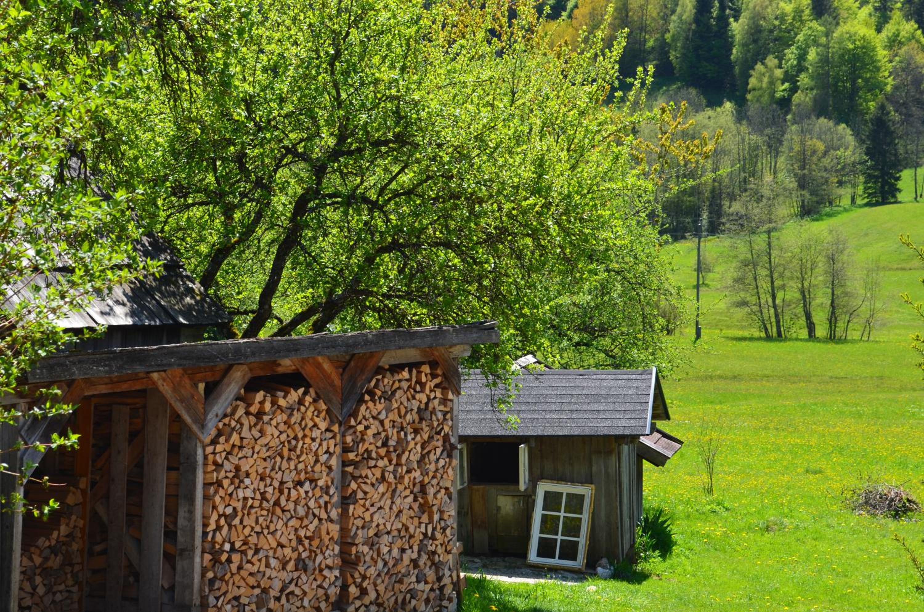 Bauernhof König