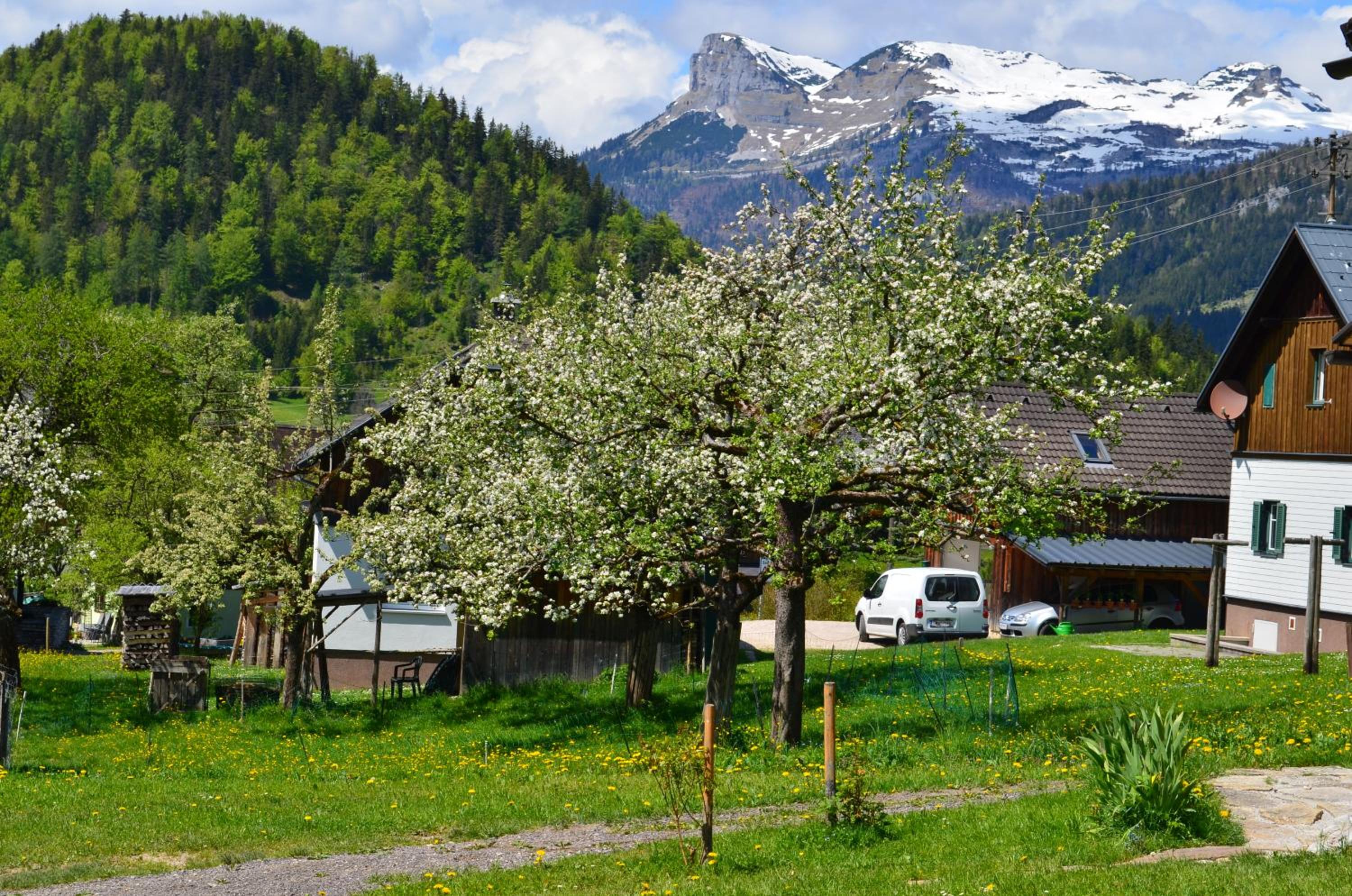 Bauernhof König