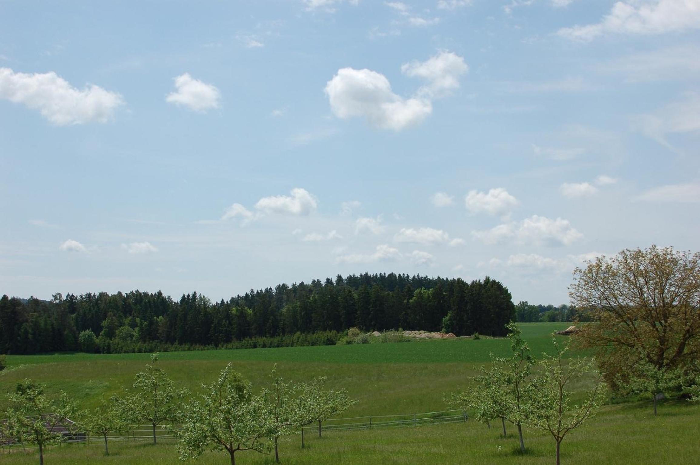 Ferienwohnung Brock