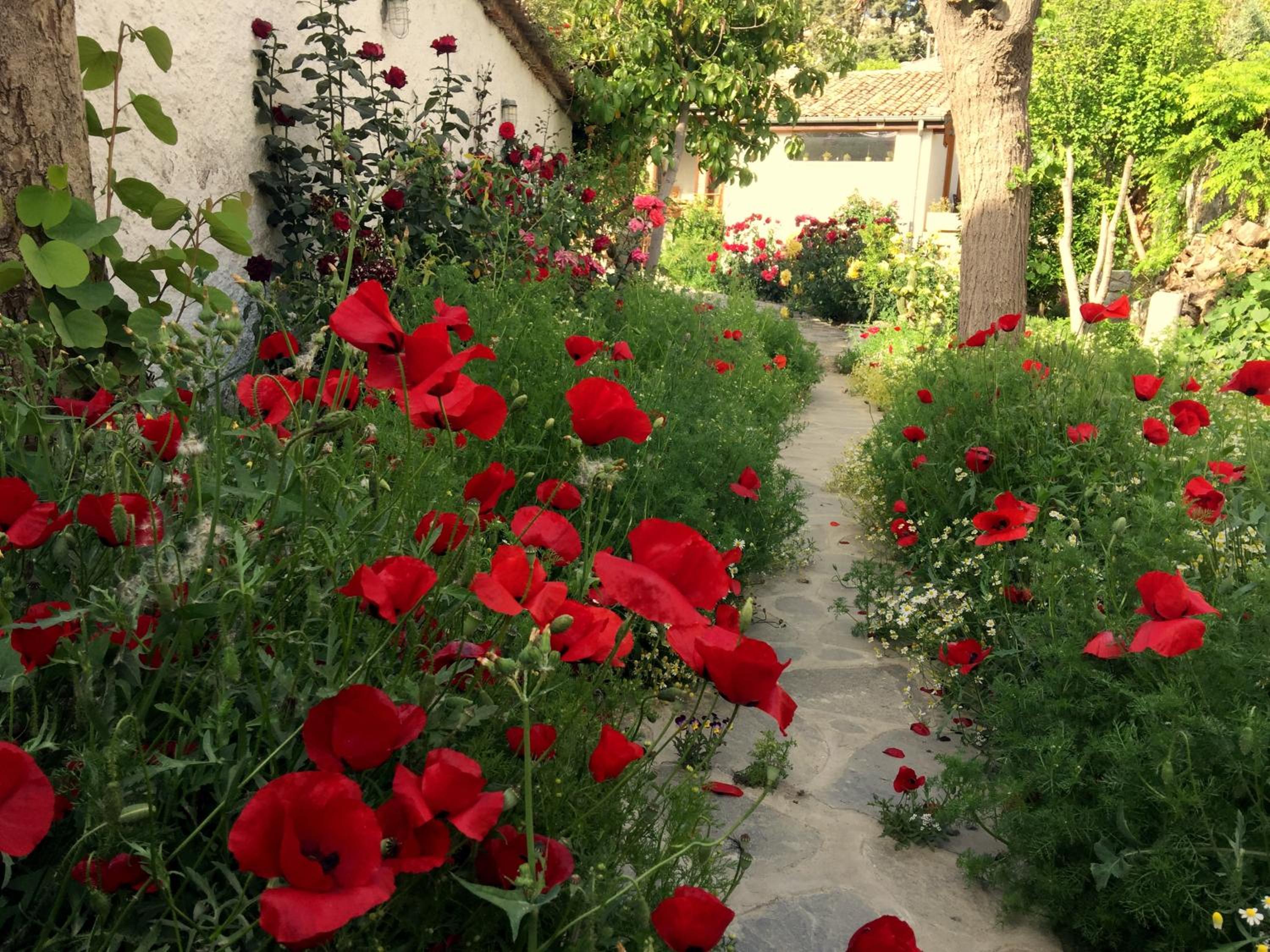 Garden House