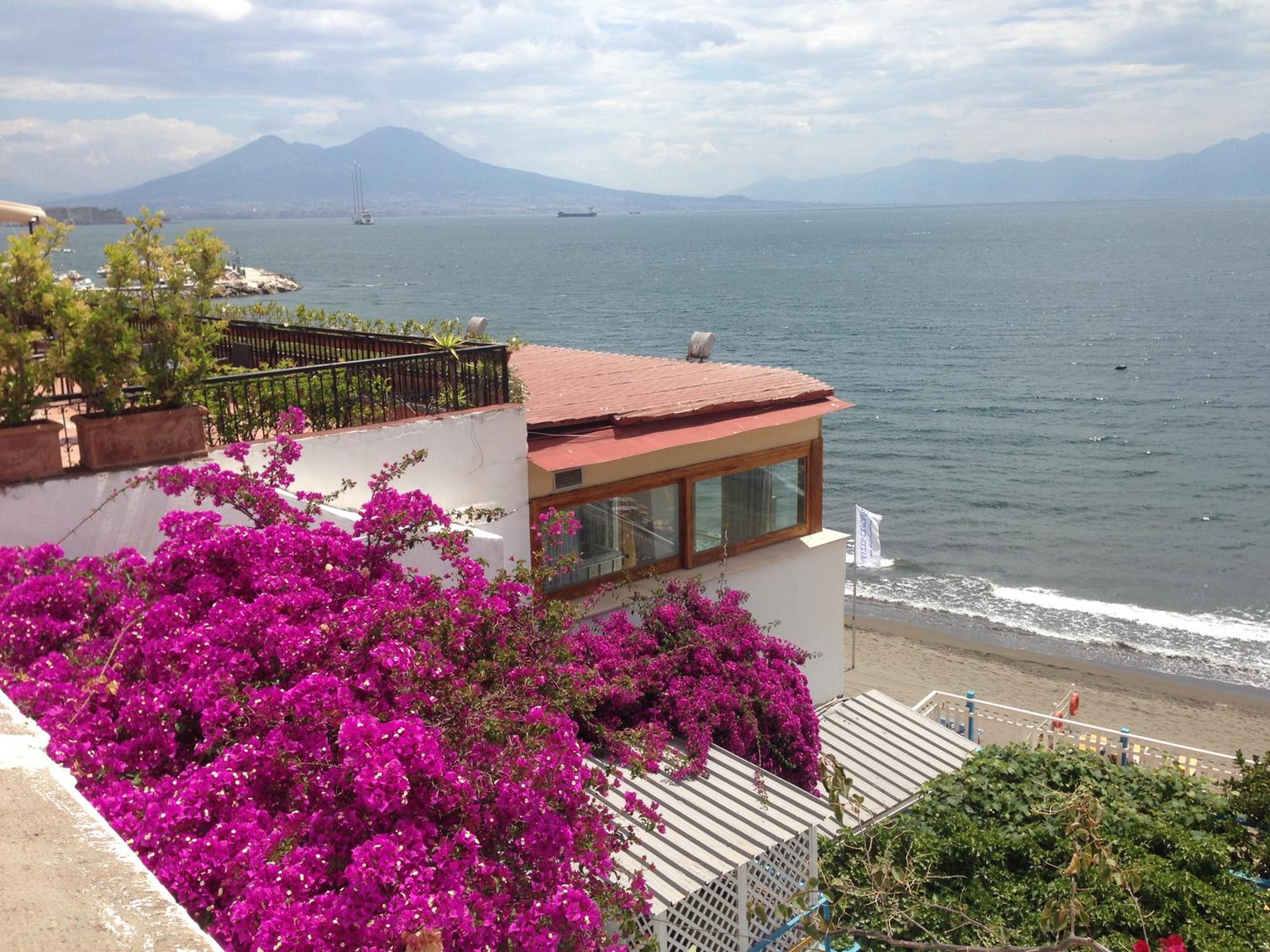 Trimarchi House