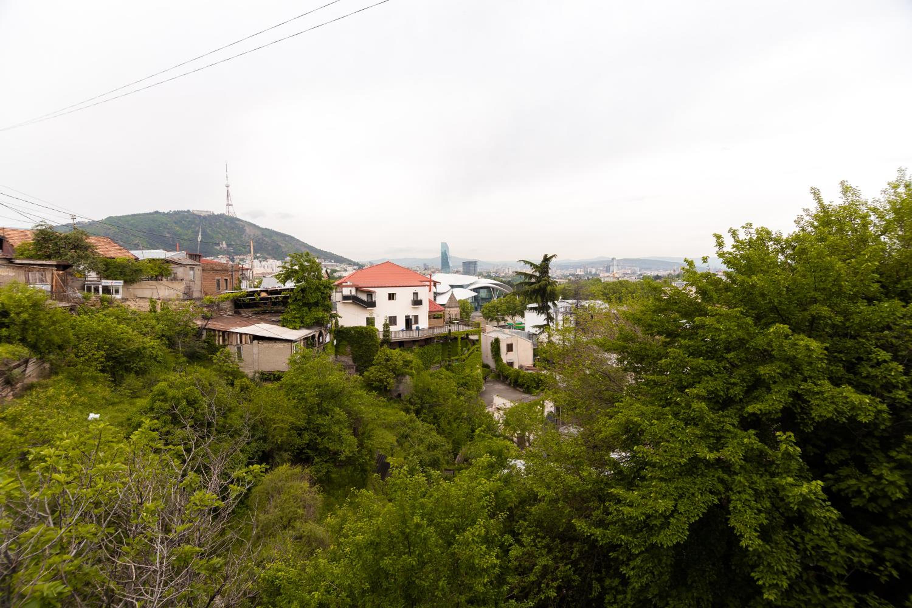 Photo 20
