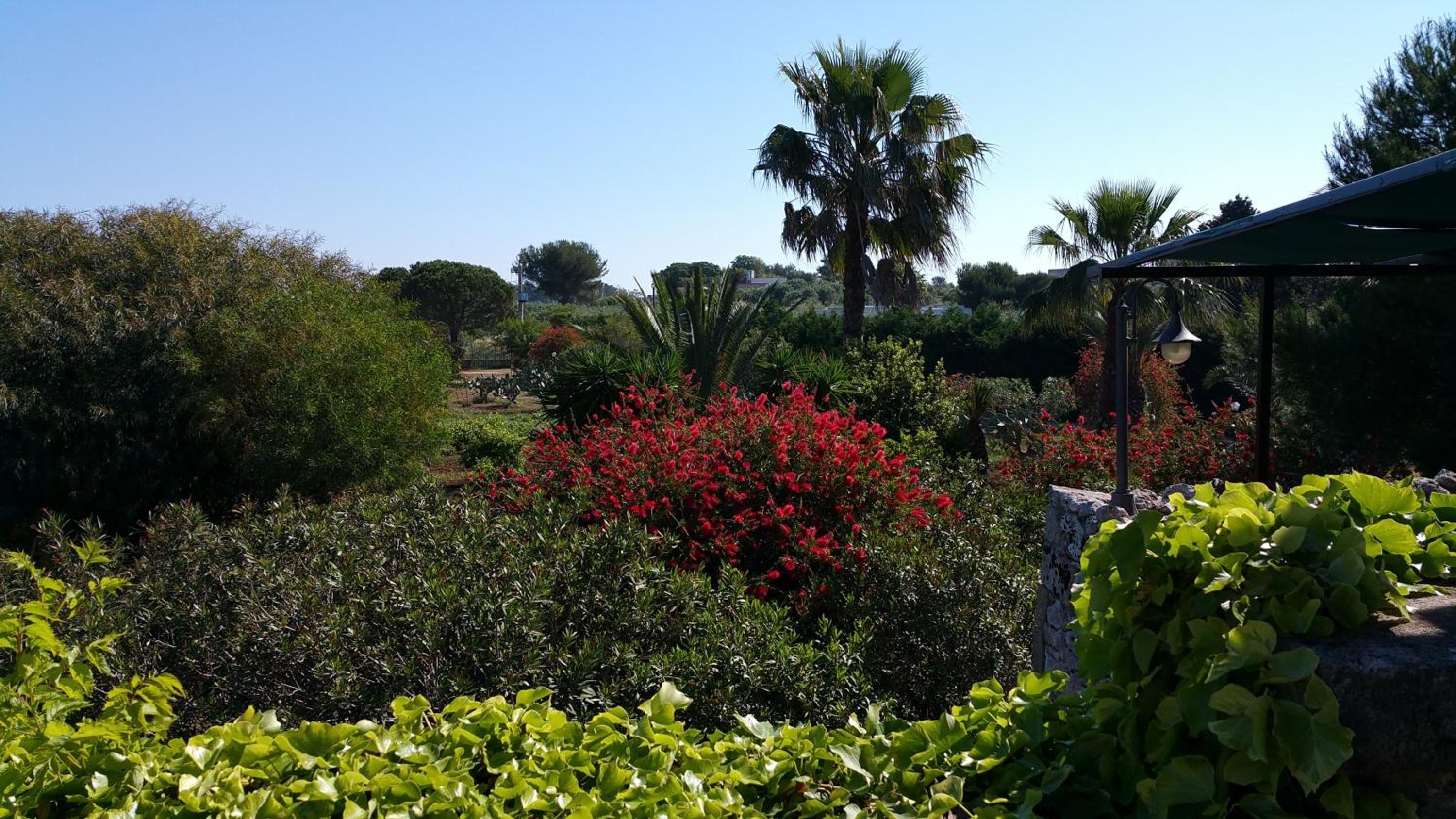 Masseria Serine