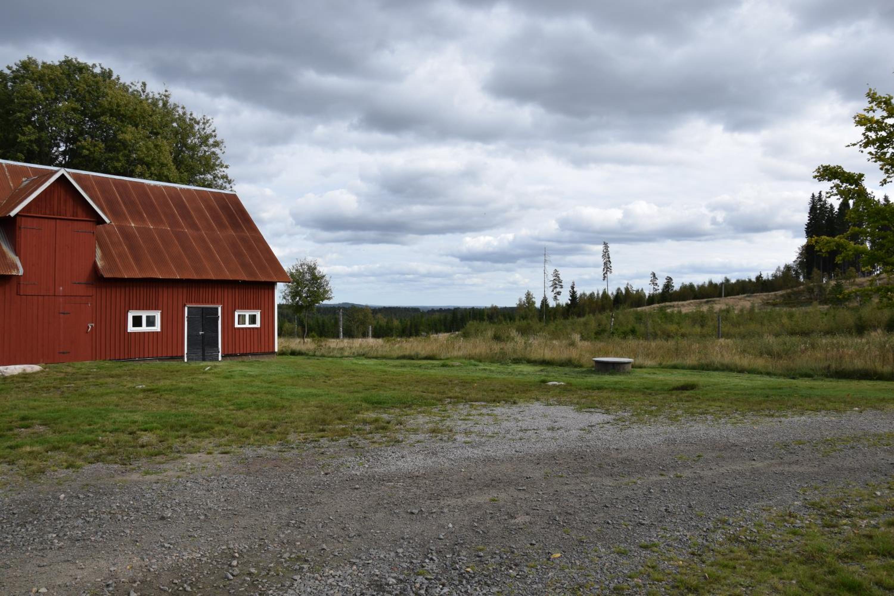 Photo 41
