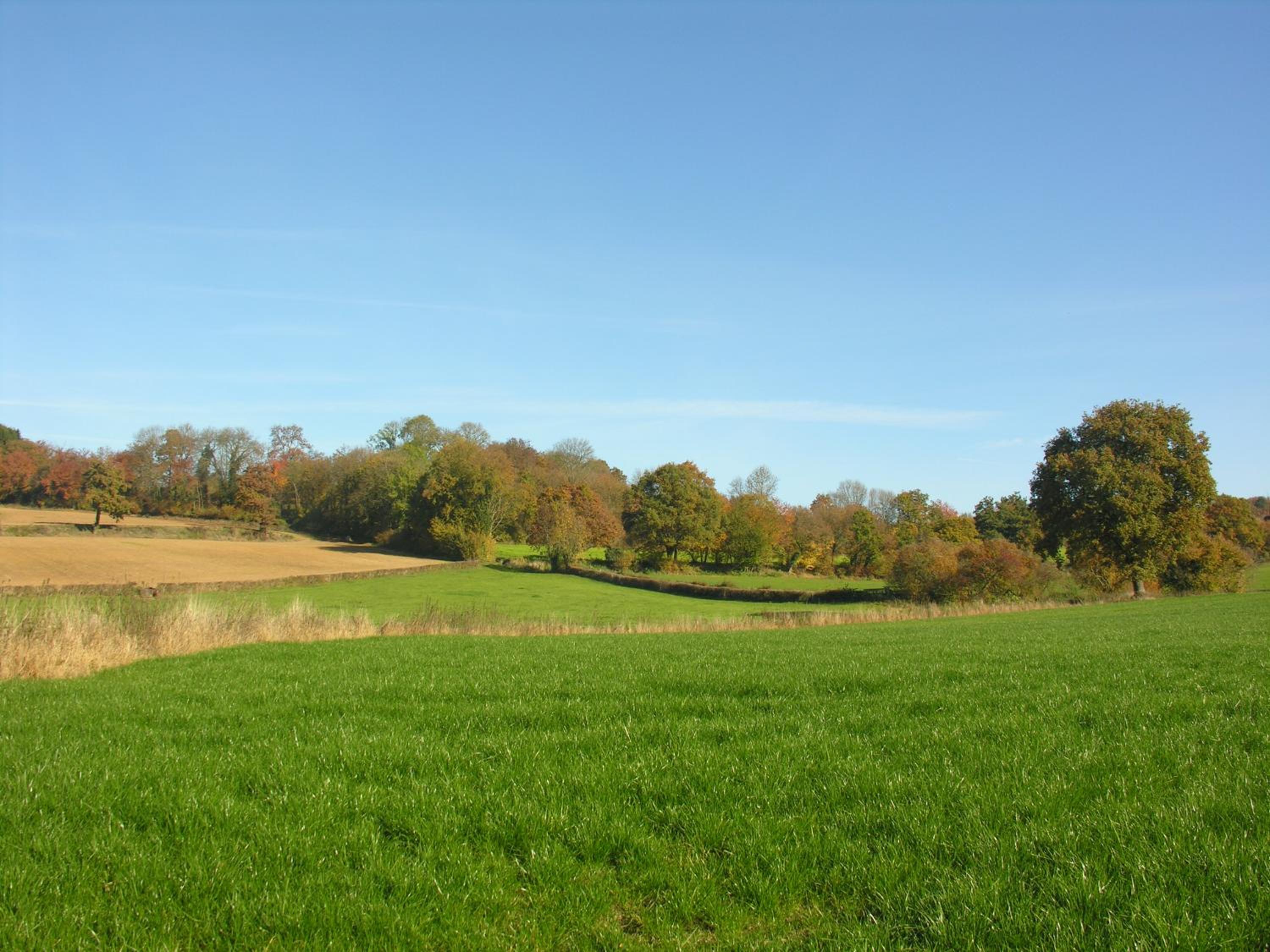 Photo 13