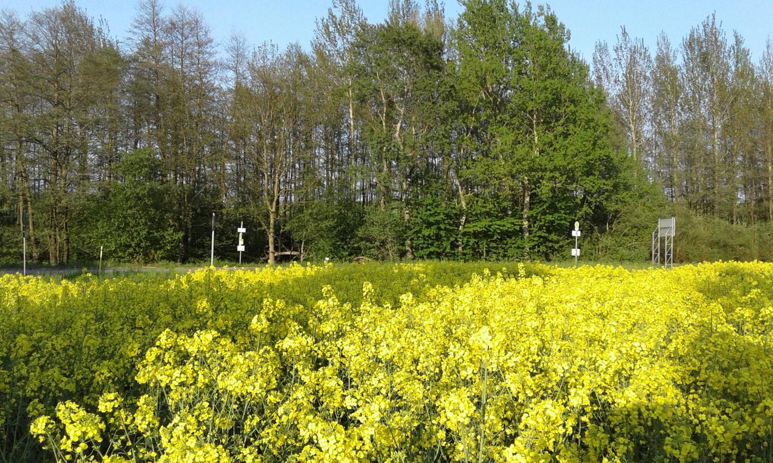 Gaststätte & Pension Jägerwäldchen
