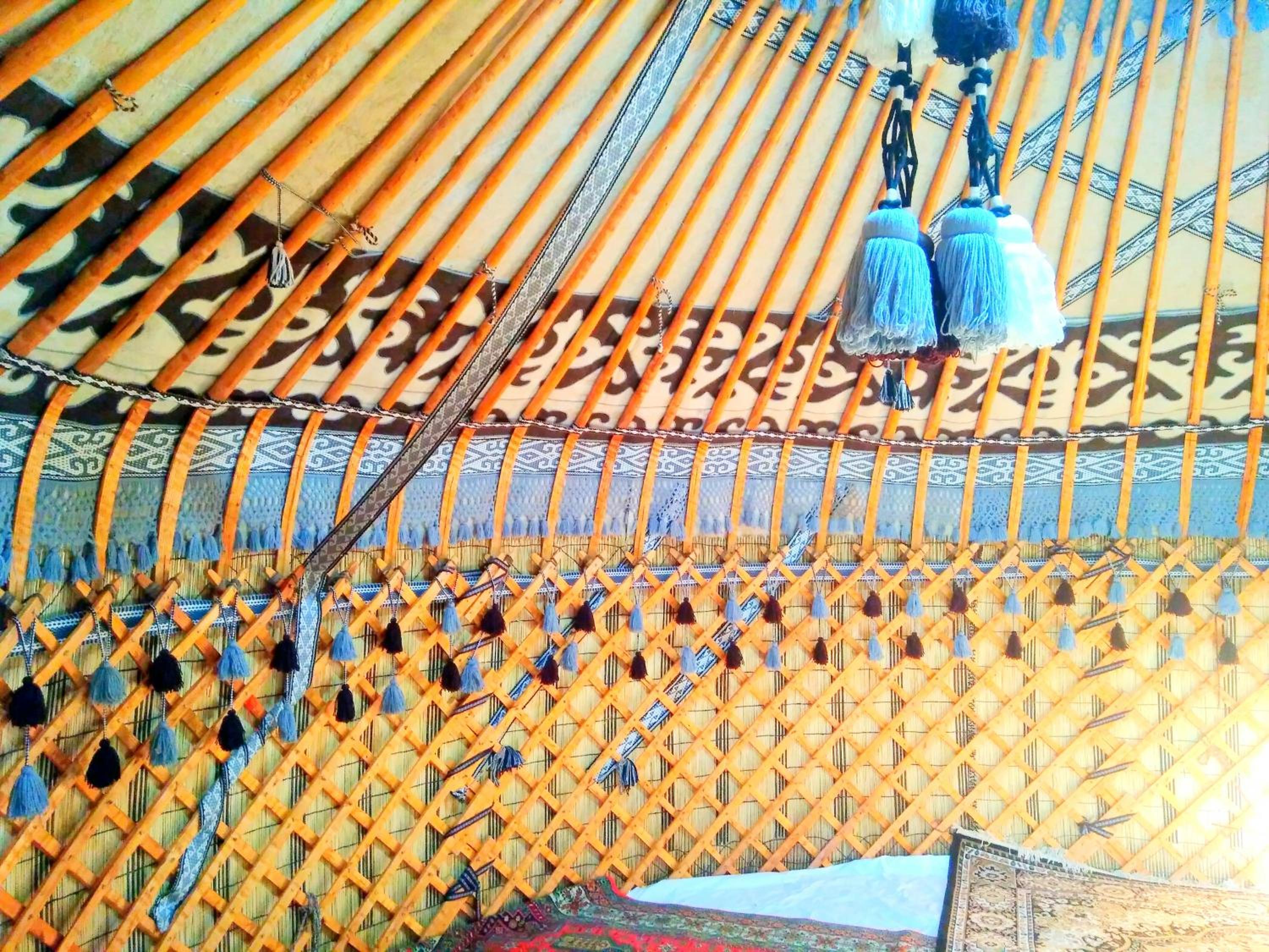 Photo 41