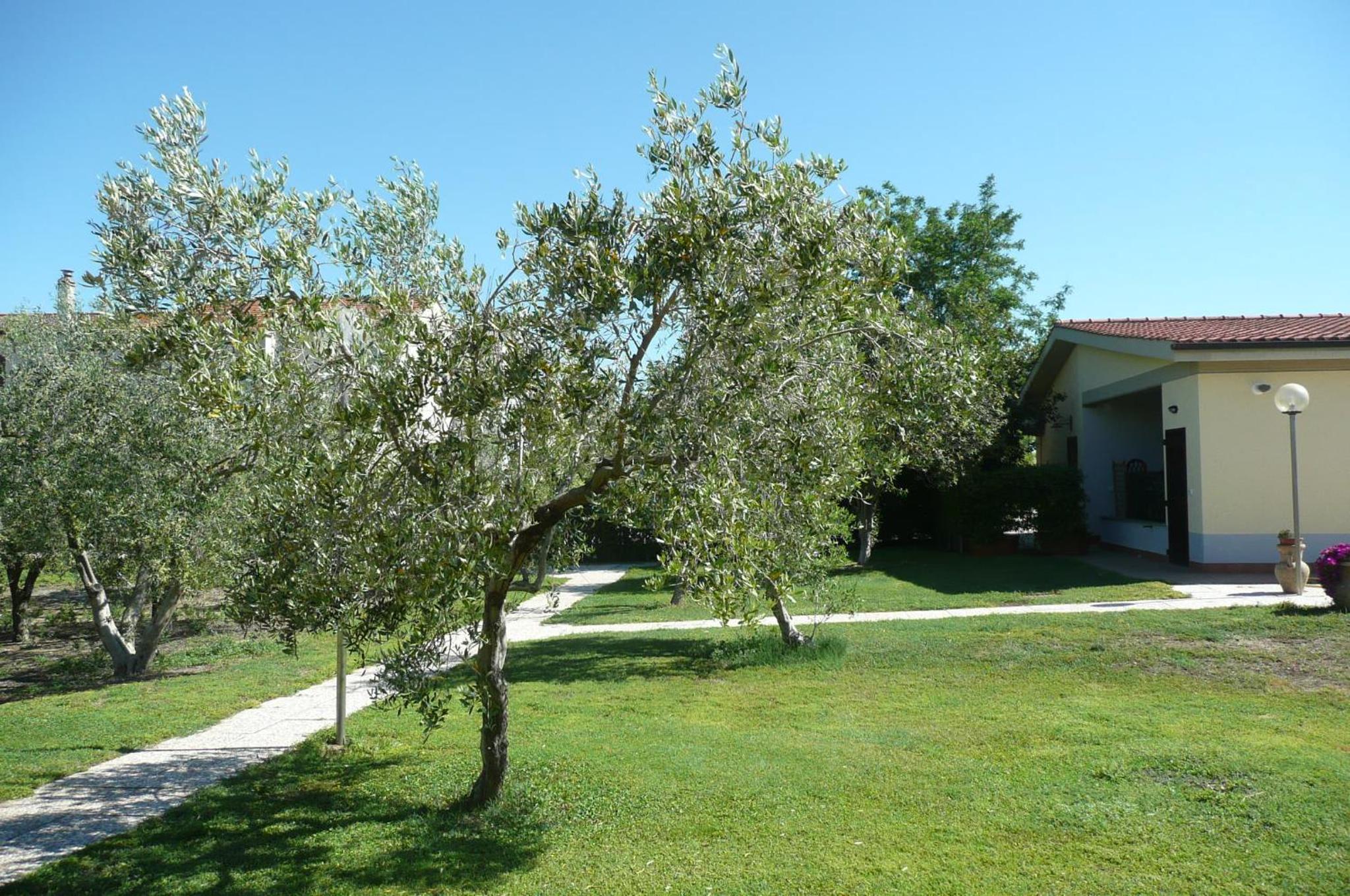 Photo 26