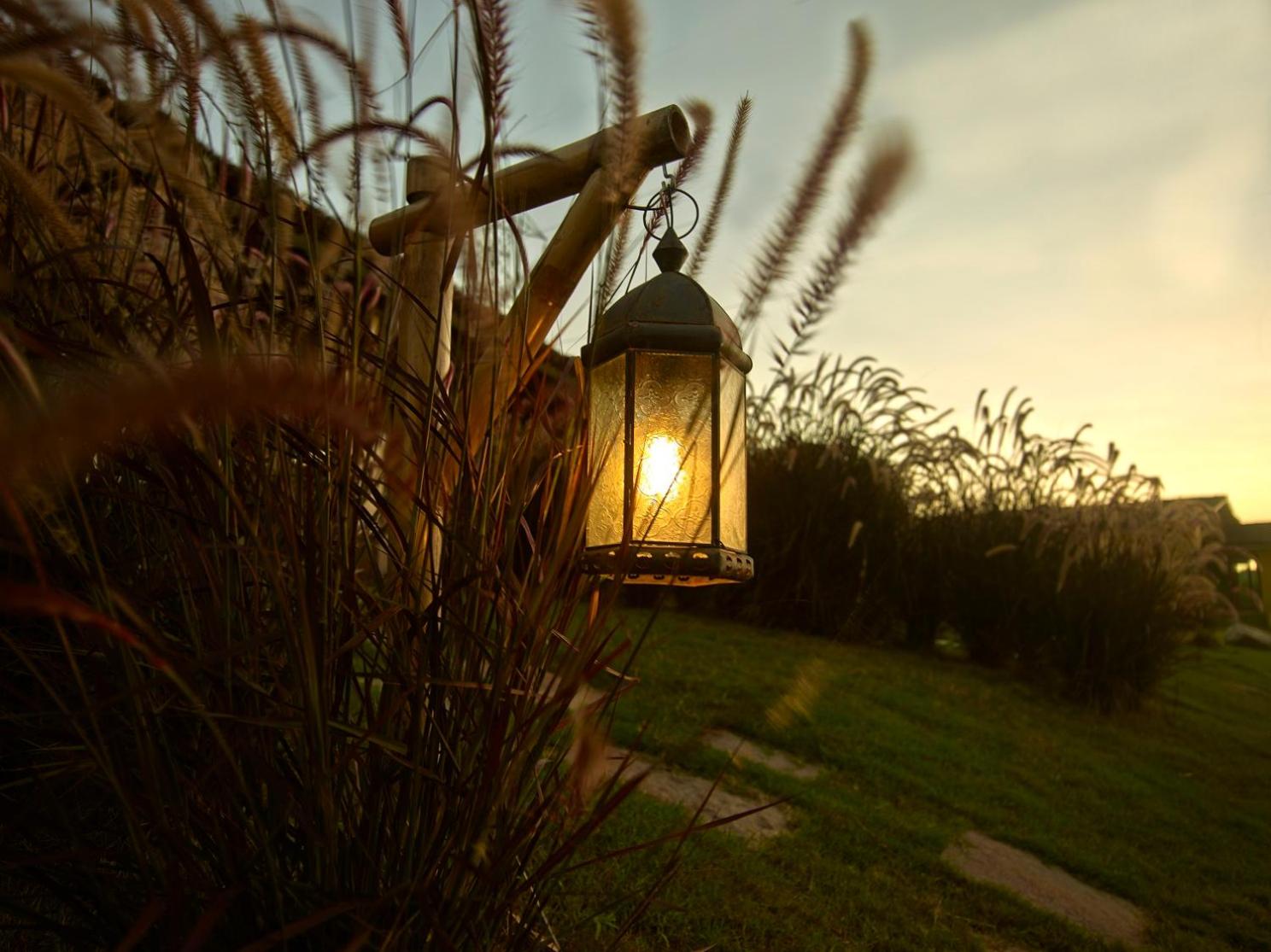 Asiatic Lion Lodge