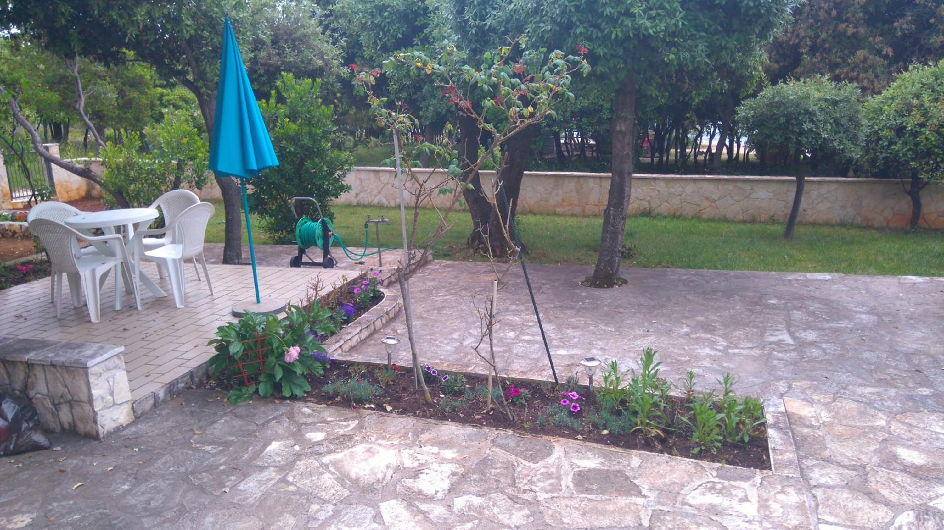 Photo 46
