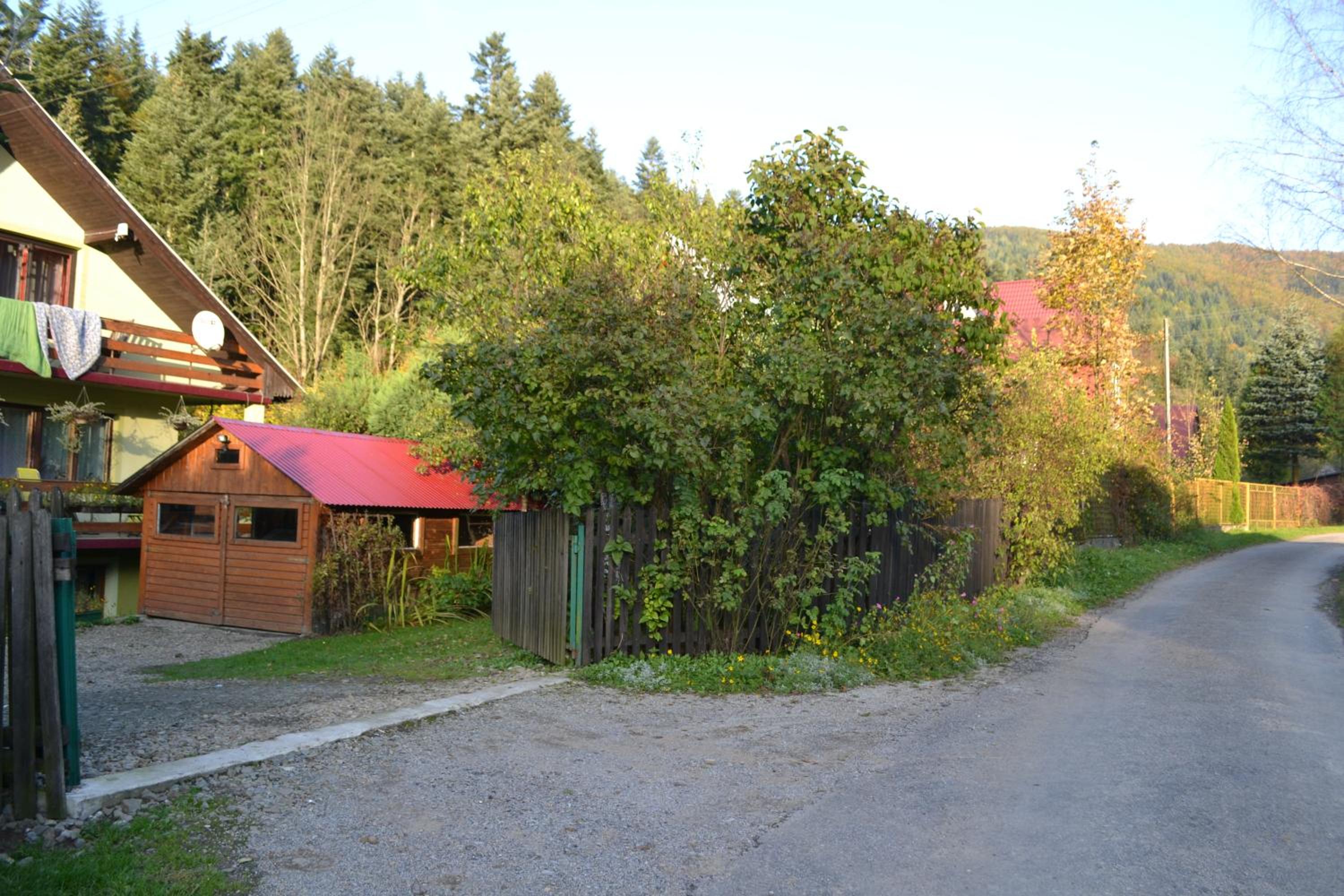 Photo 20