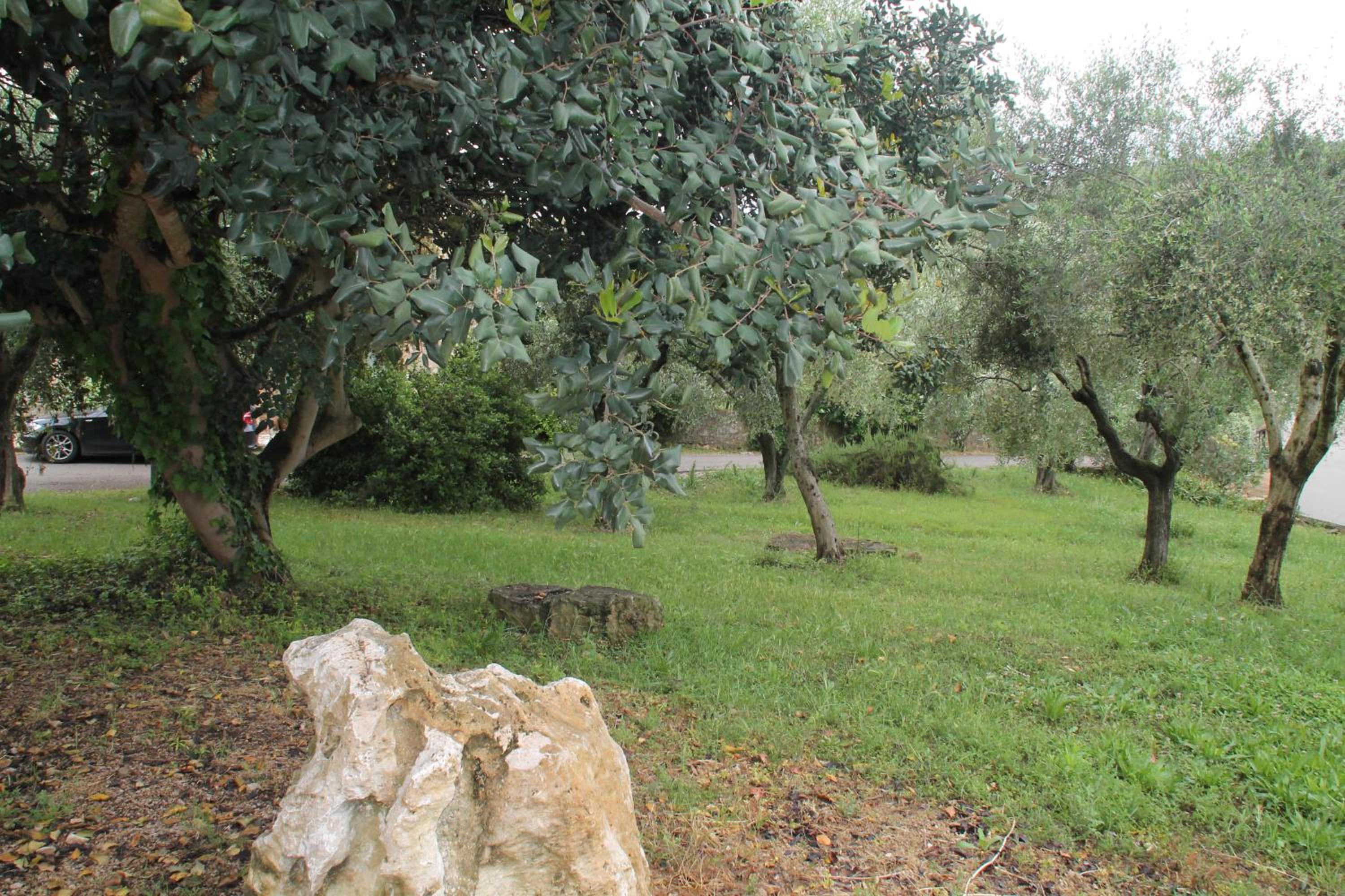 Photo 53