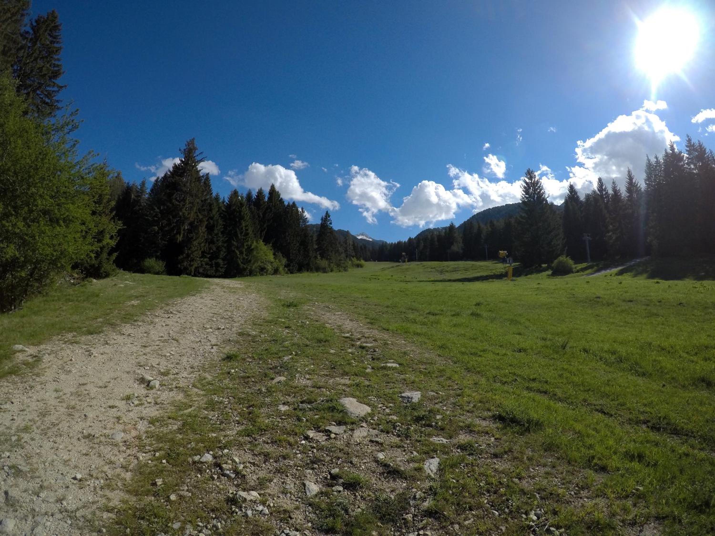 Photo 40