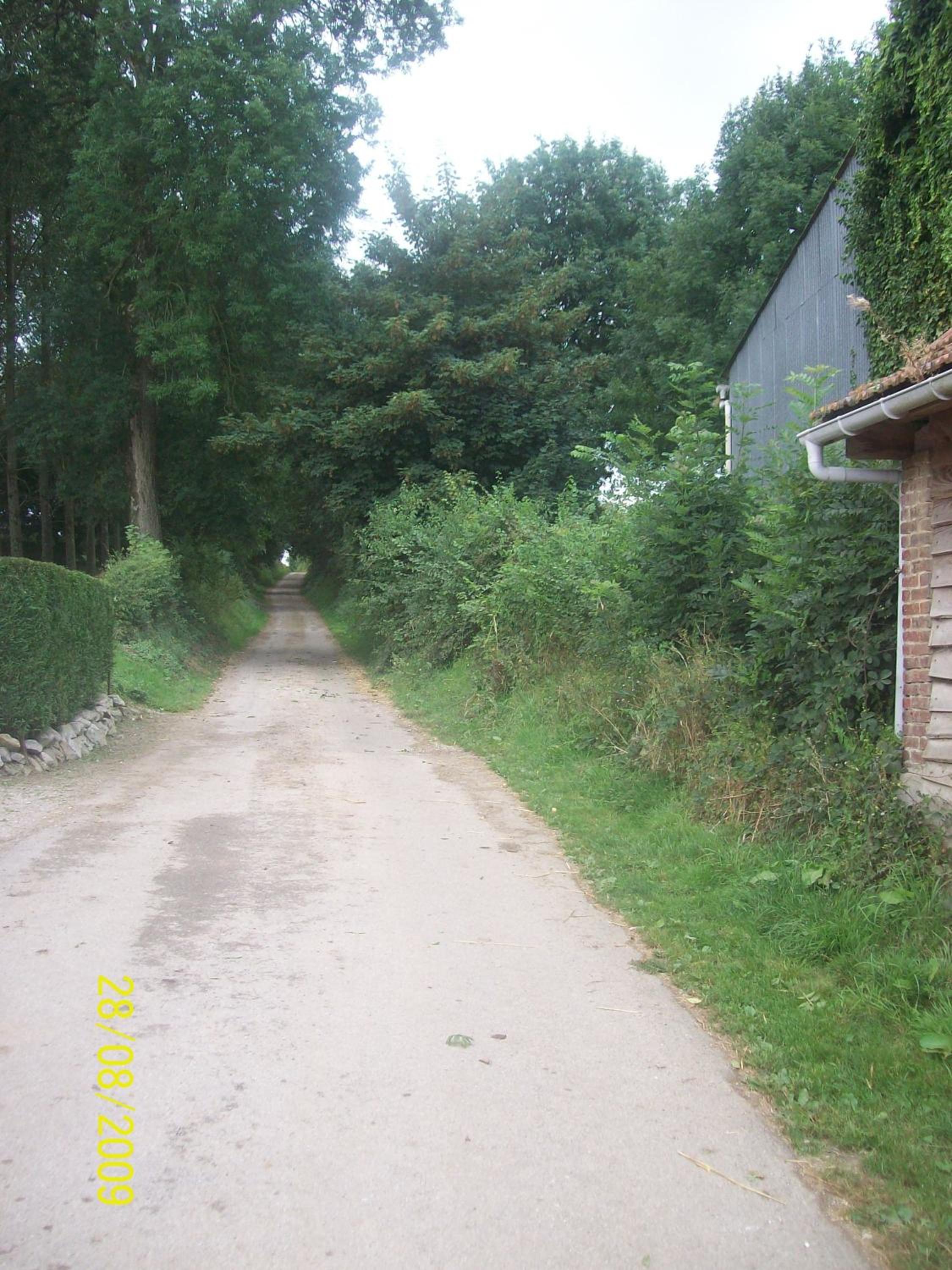 Photo 42